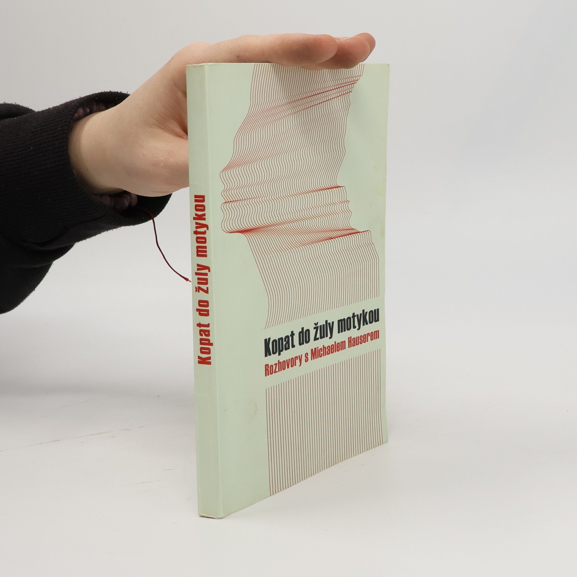 Michael Hauser Kopat do žuly motykou