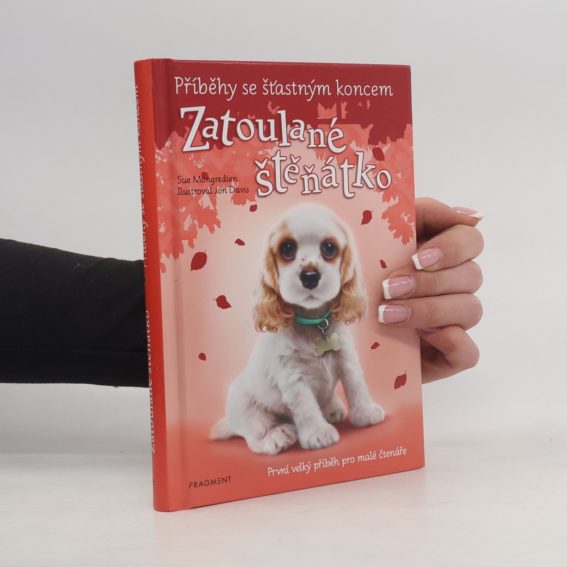 Sue Mongredien Zatoulané štěňátko
