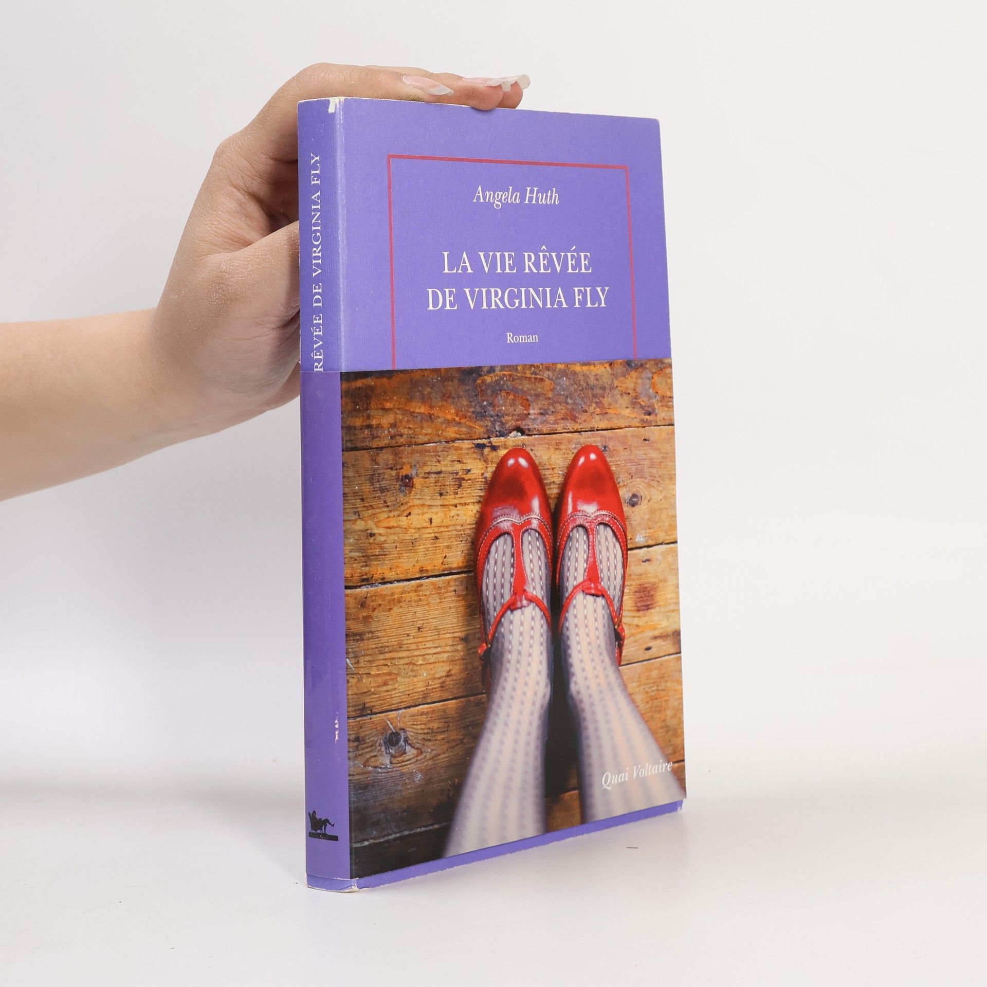 La vie rêvée de Virginia Fly