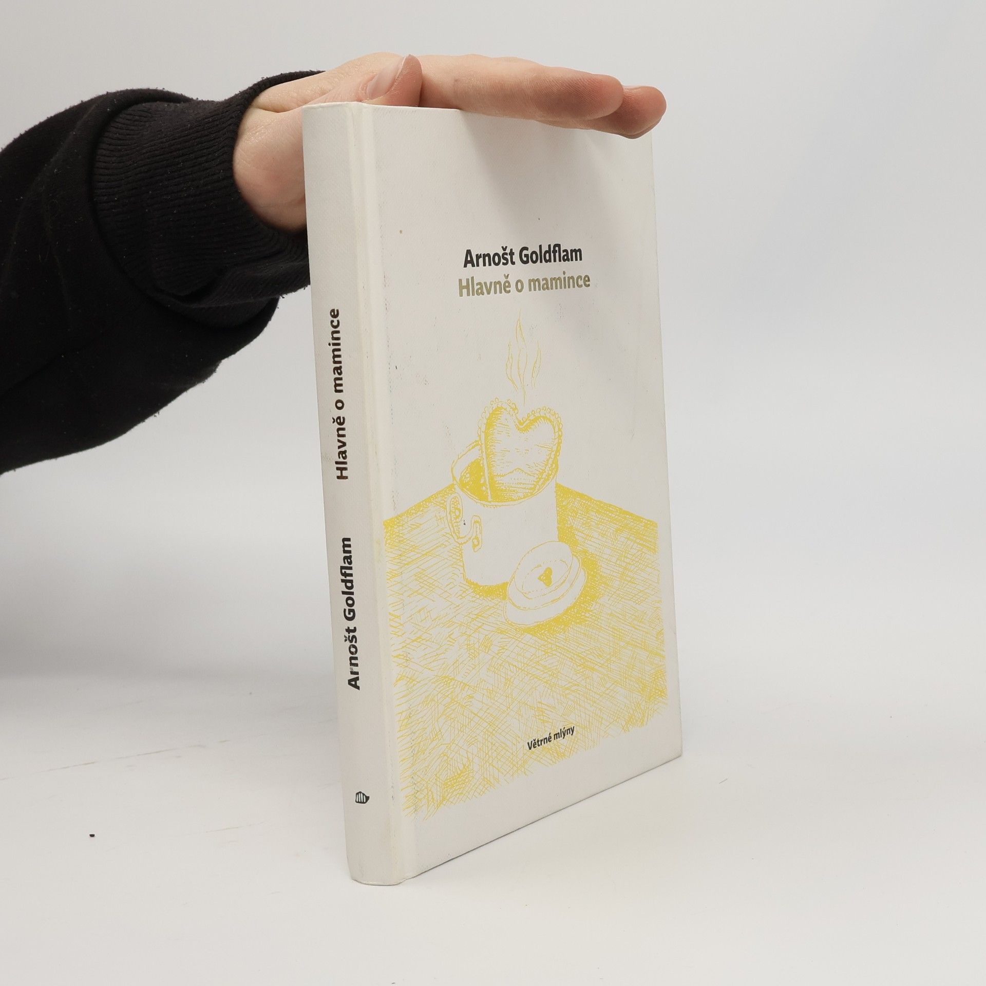 Petra Štětinová Goldflamová Hlavně o mamince