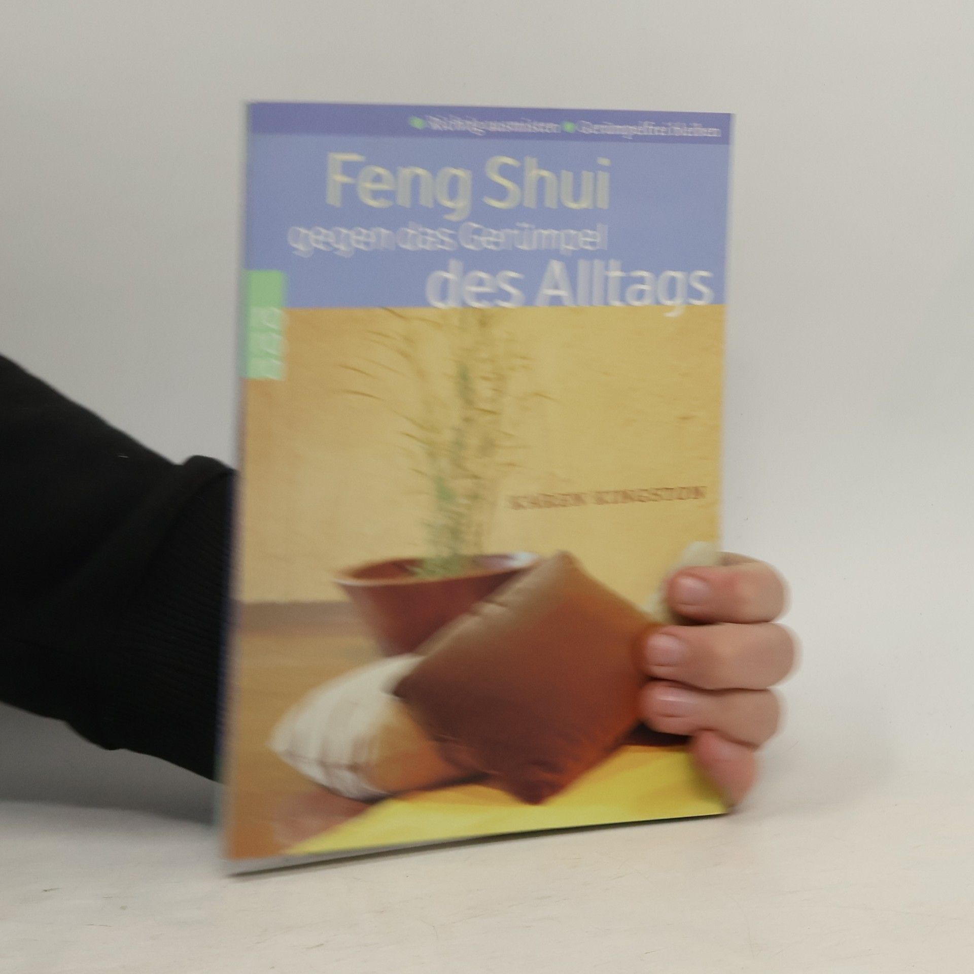 Karen Kingston Feng shui
