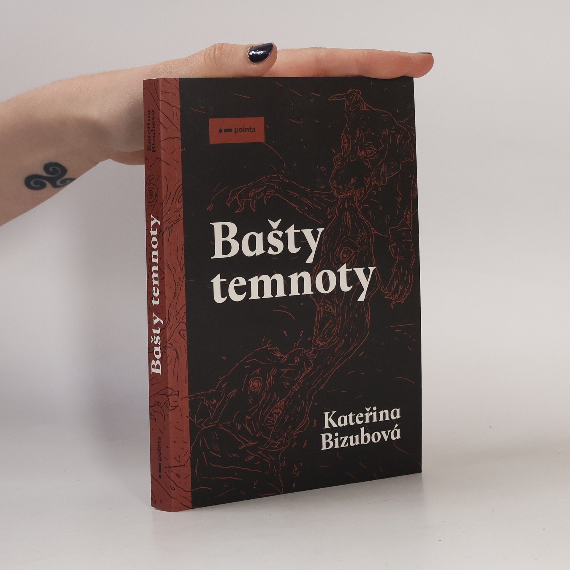 Kateřina Bizubová Bašty temnoty