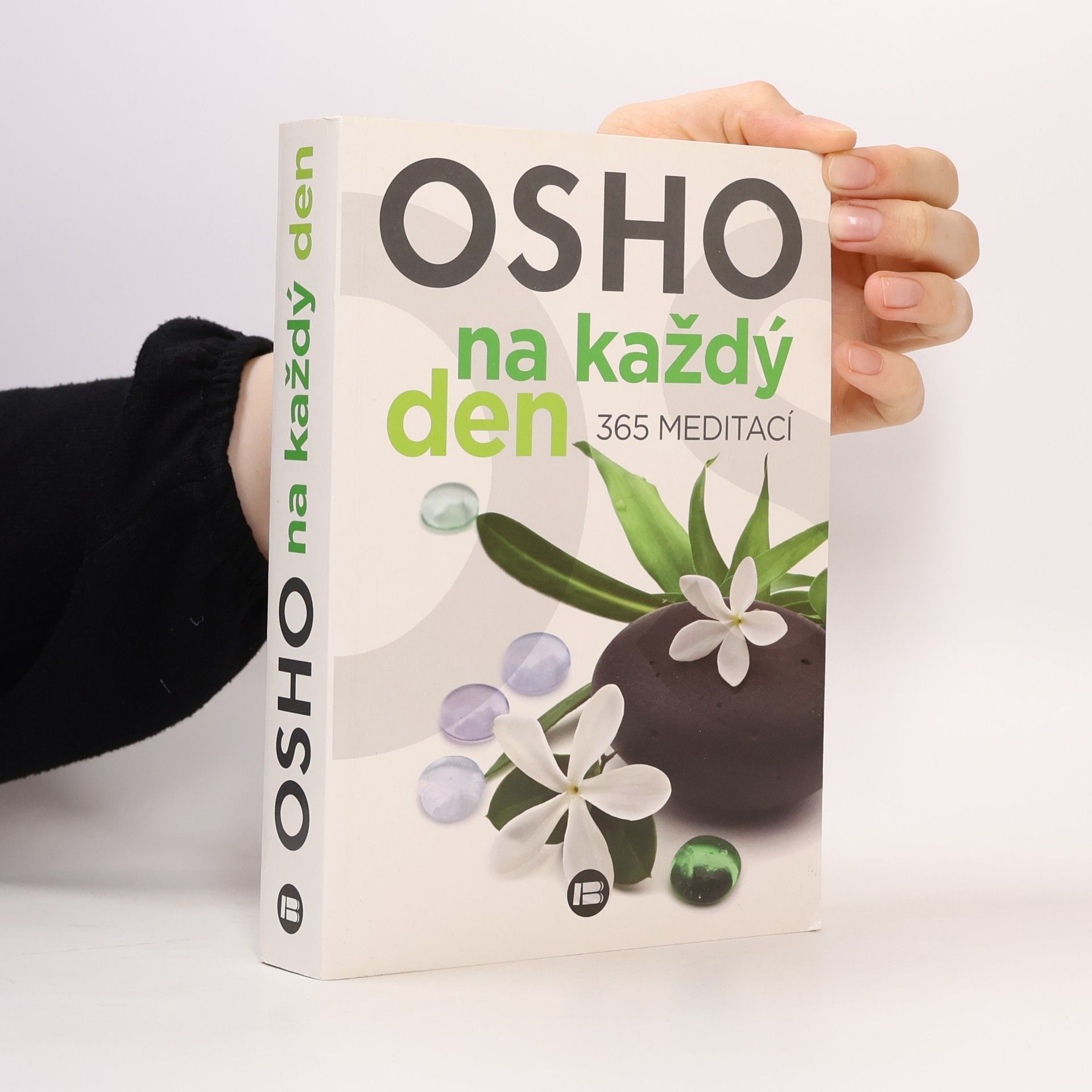 Osho Osho na každý den: 365 meditací