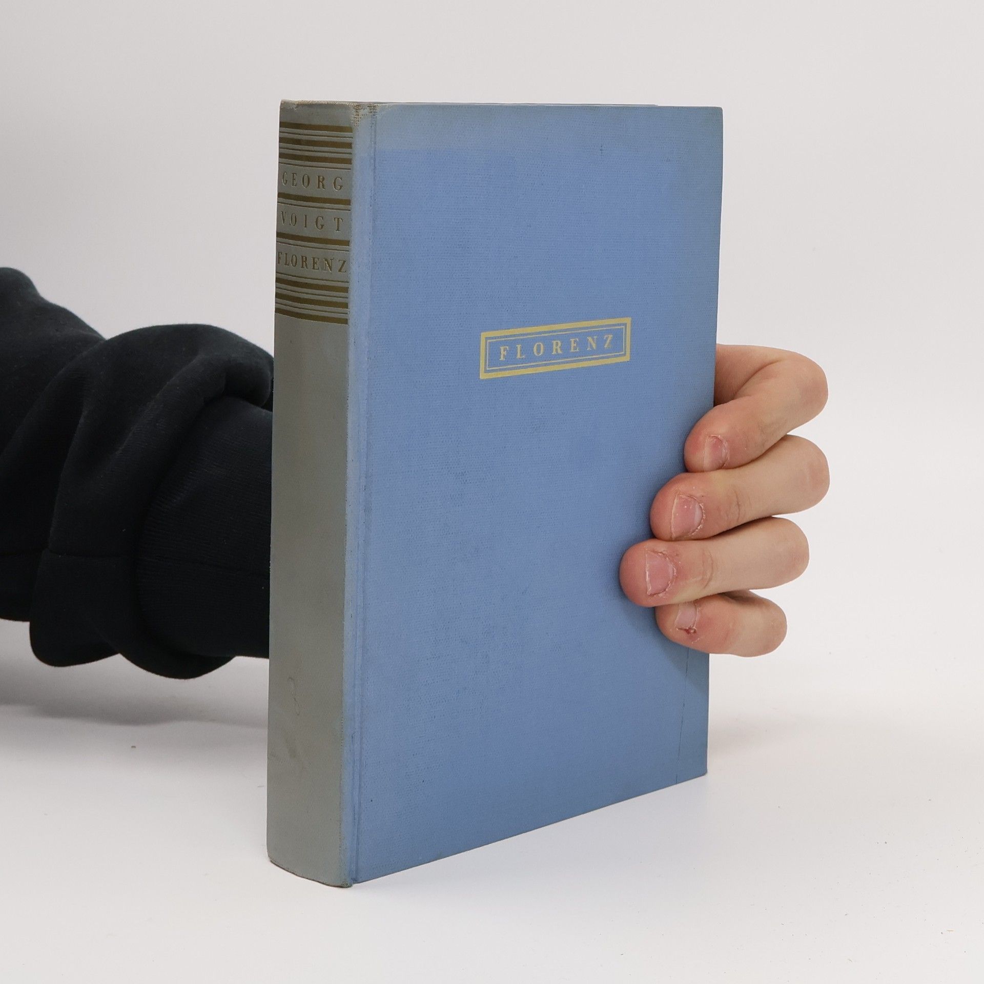 Georg Voigt Die Renaissance