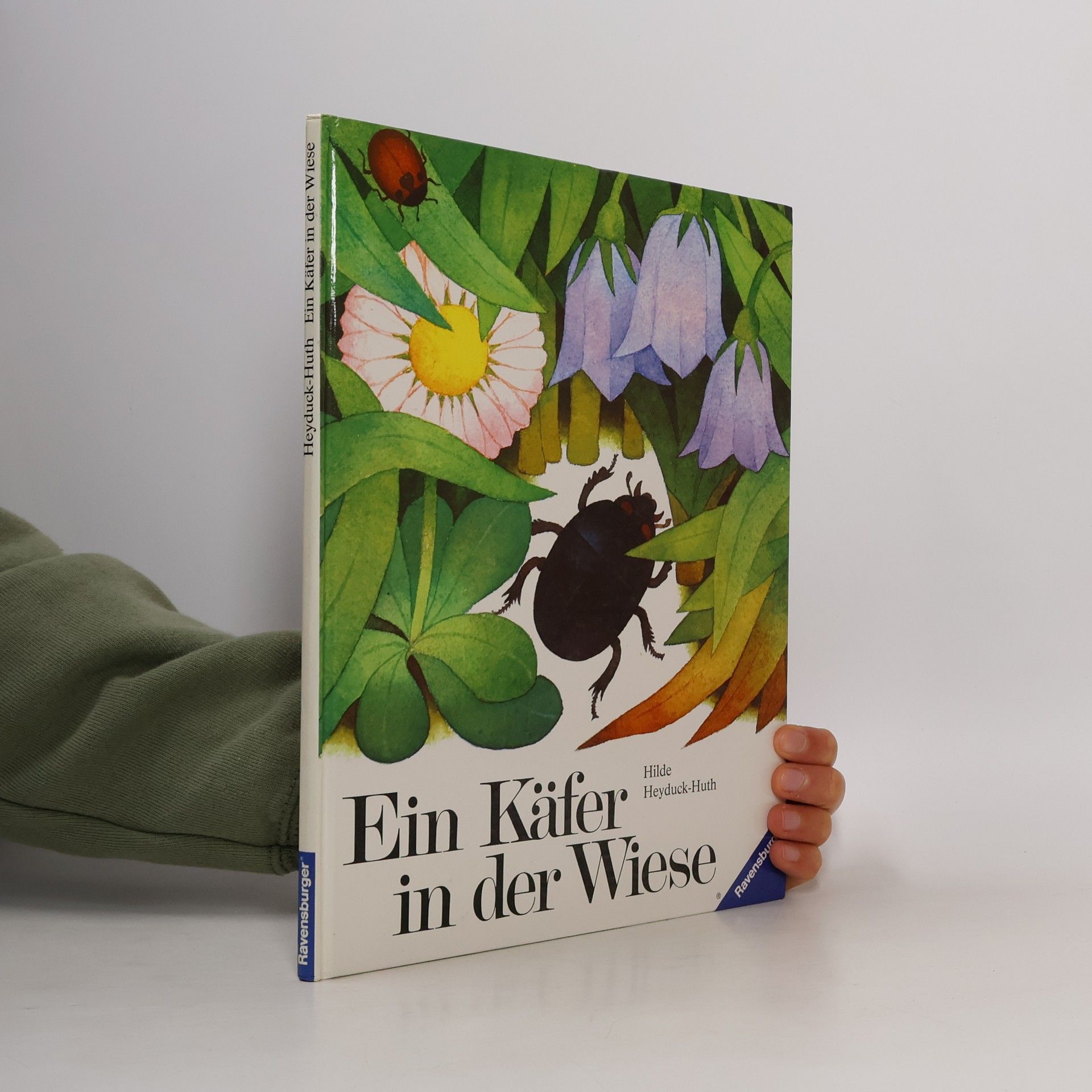 Hilde Heyduck-Huth Ein Käfer in der Wiese