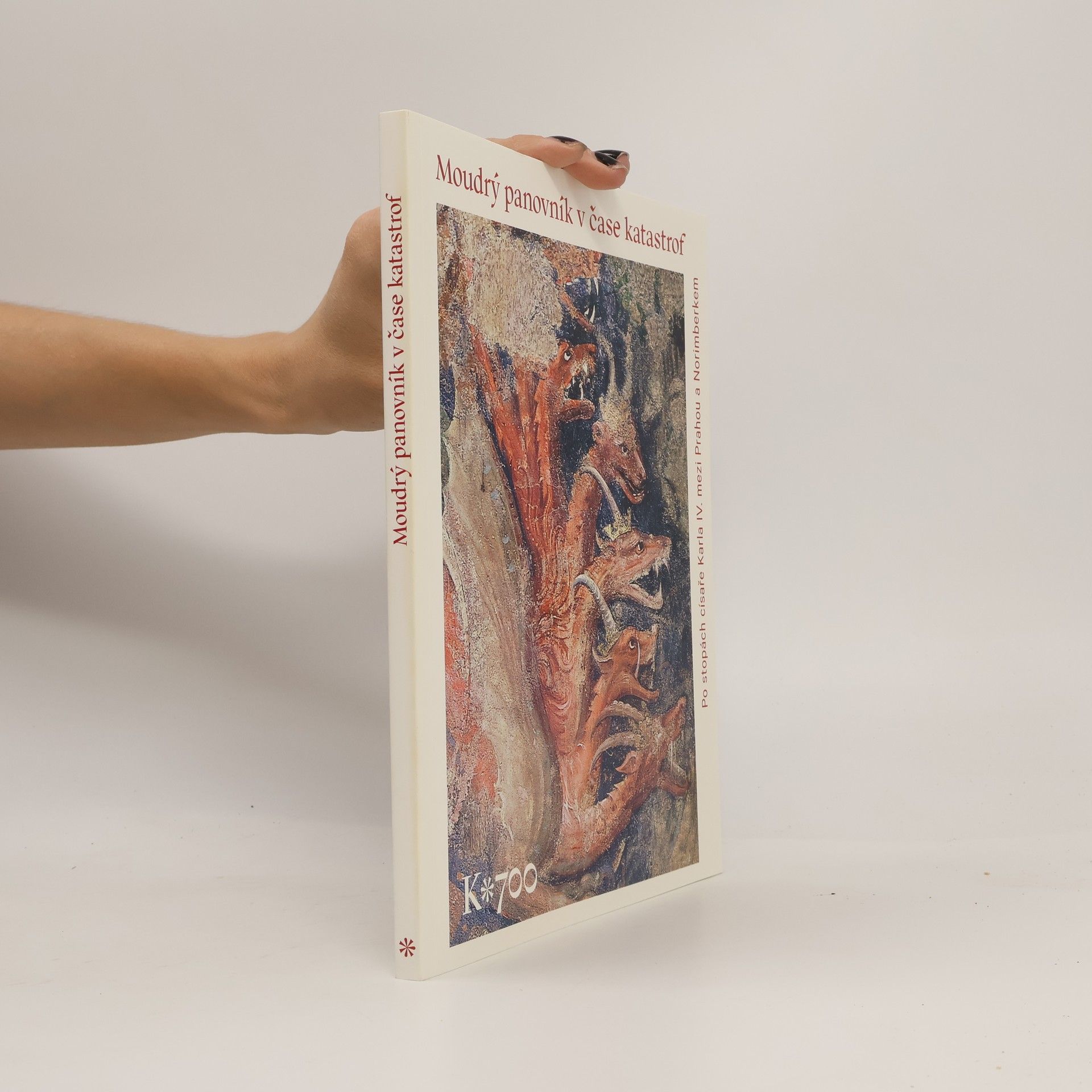 Jiří Fajt Moudrý panovník v čase katastrof: Po stopách císaře Karla IV. mezi Prahou a Norimberkem