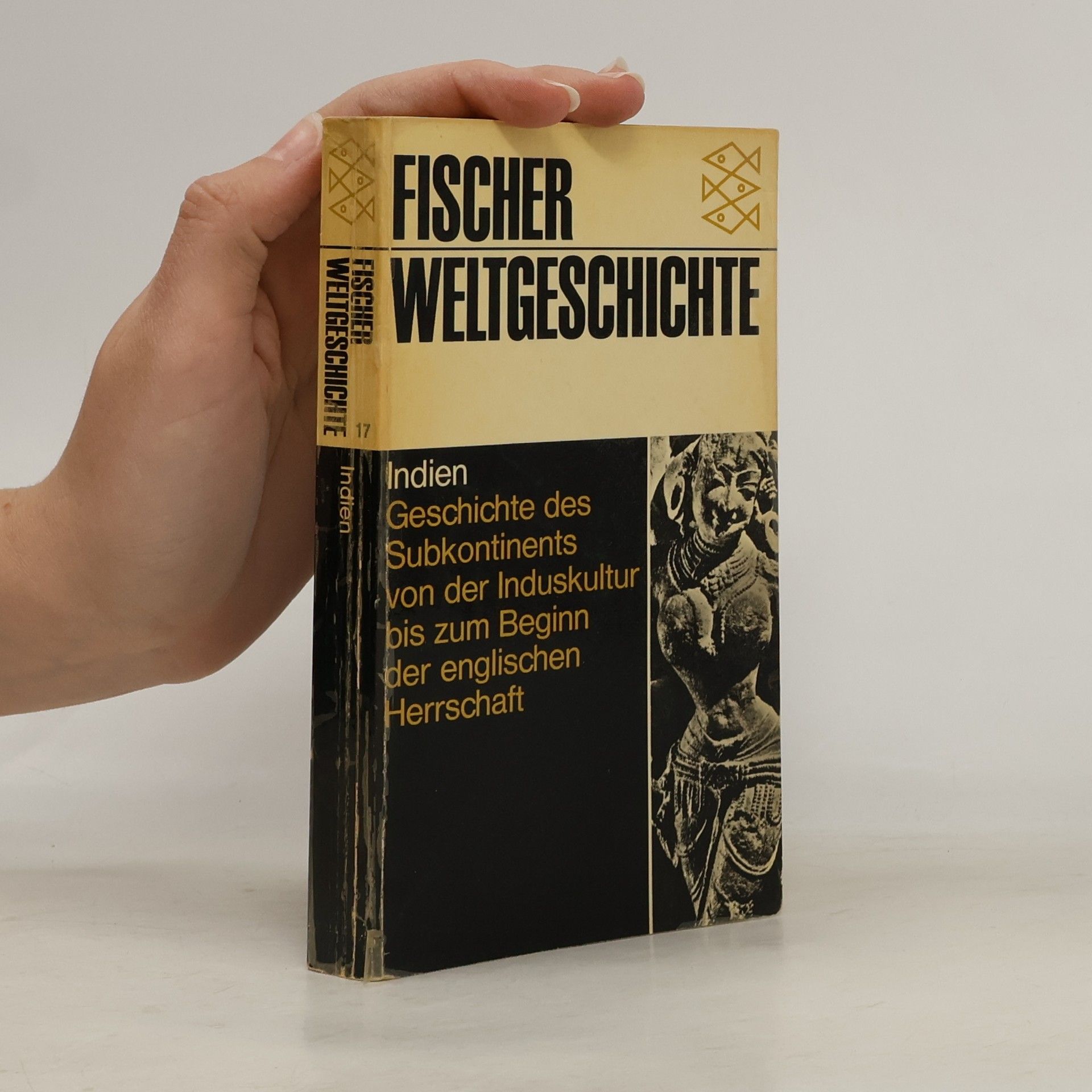 Ainslie T. Embree Fischer-Weltgeschichte