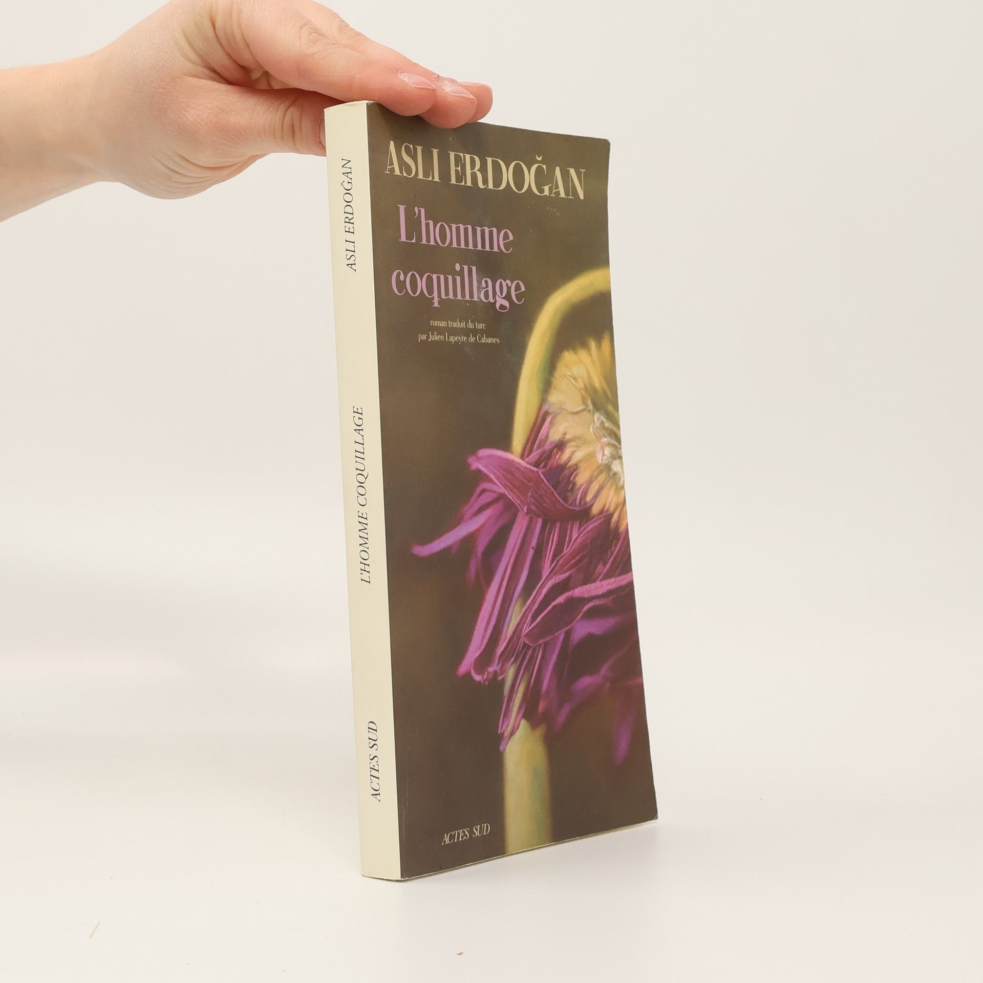 Julien Lapeyre de Cabanes L'Homme coquillage