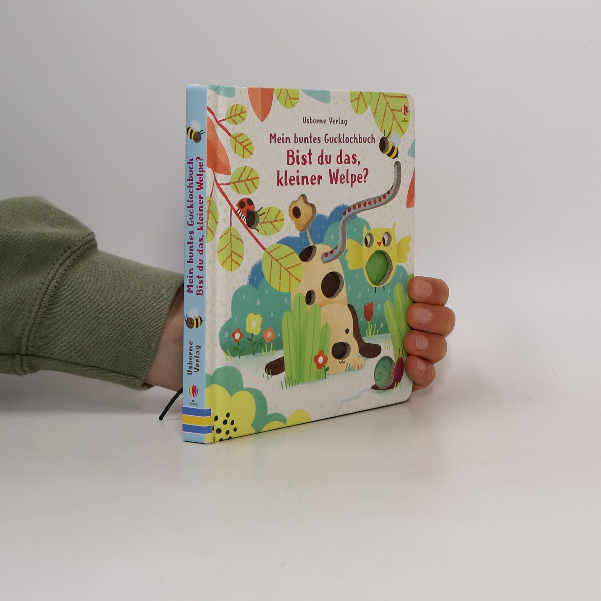 Sam Taplin Mein buntes Gucklochbuch