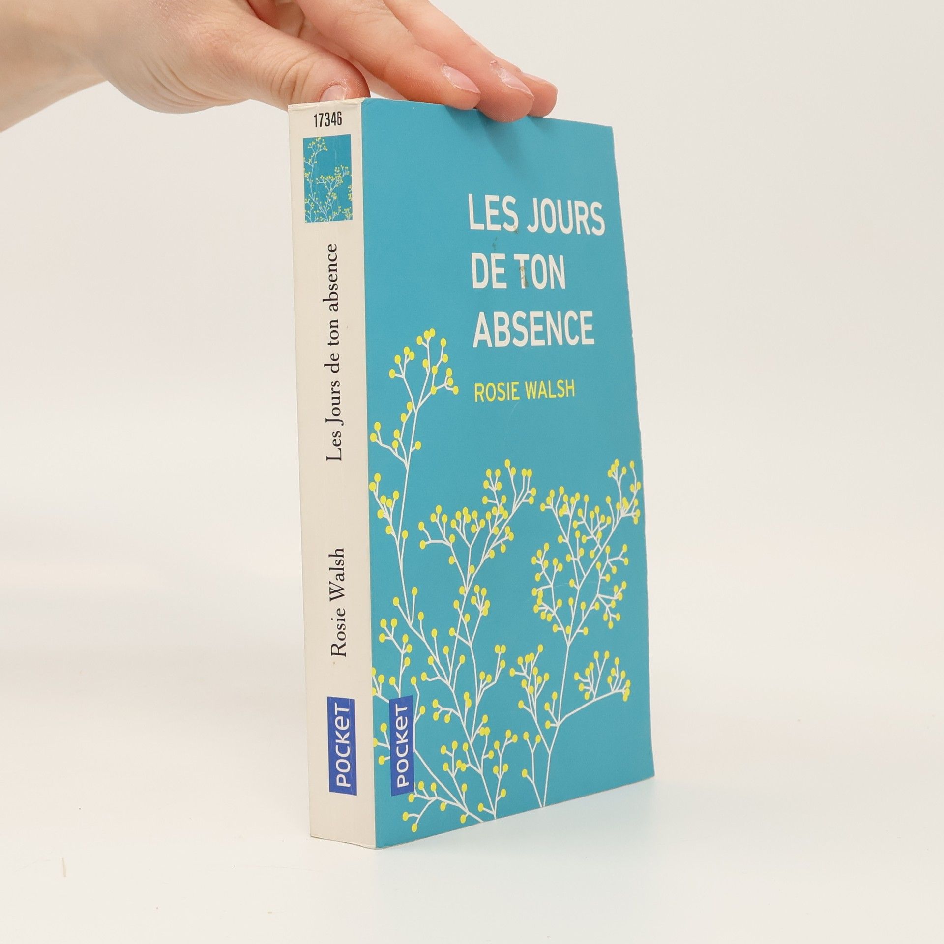 Rosie Walsh Les Jours de ton absence