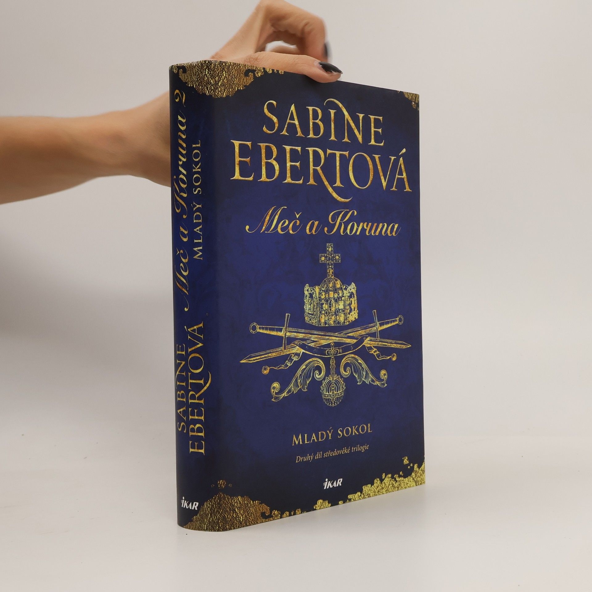 Sabine Ebert Meč a Koruna. Mladý sokol