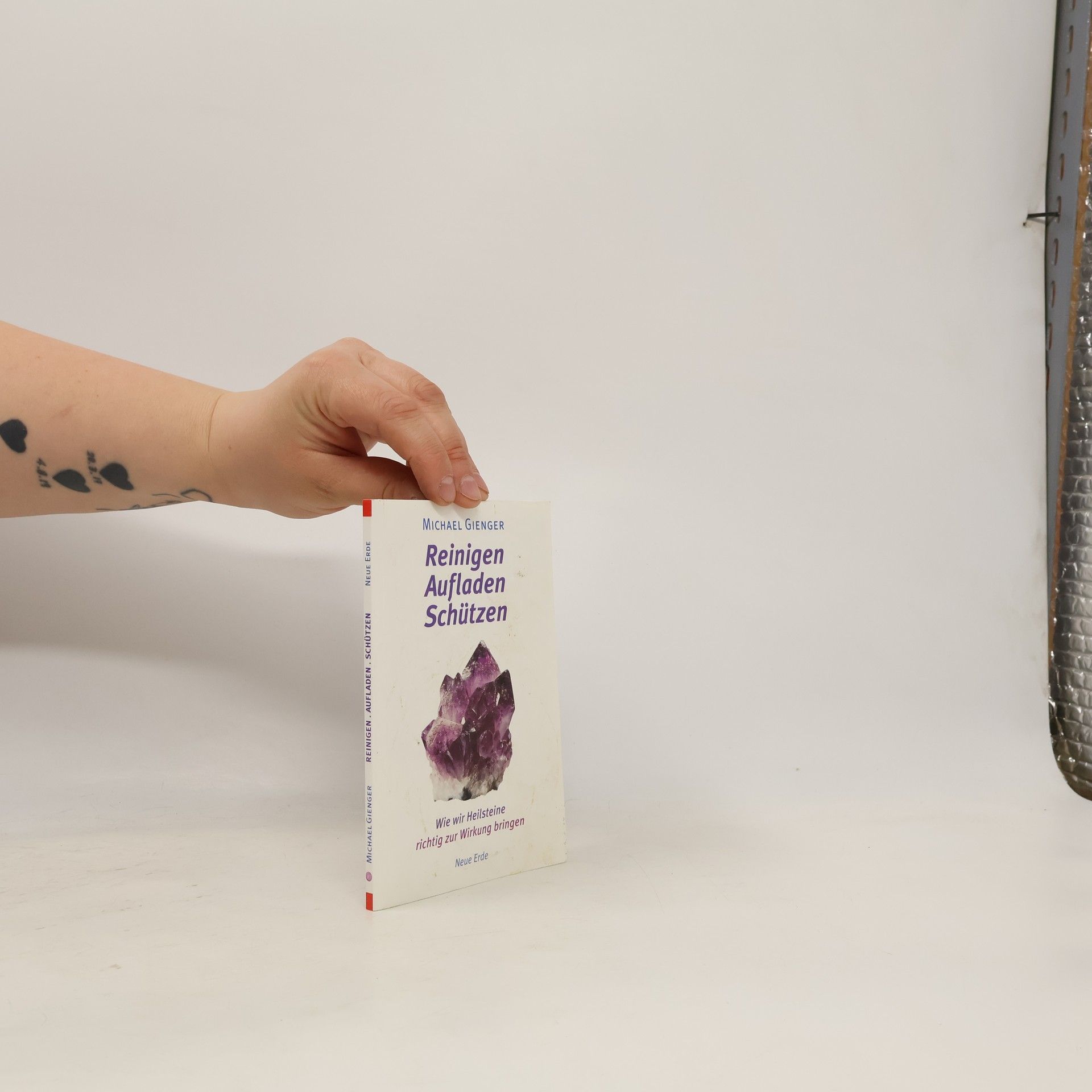 Michael Gienger Reinigen - aufladen - schützen