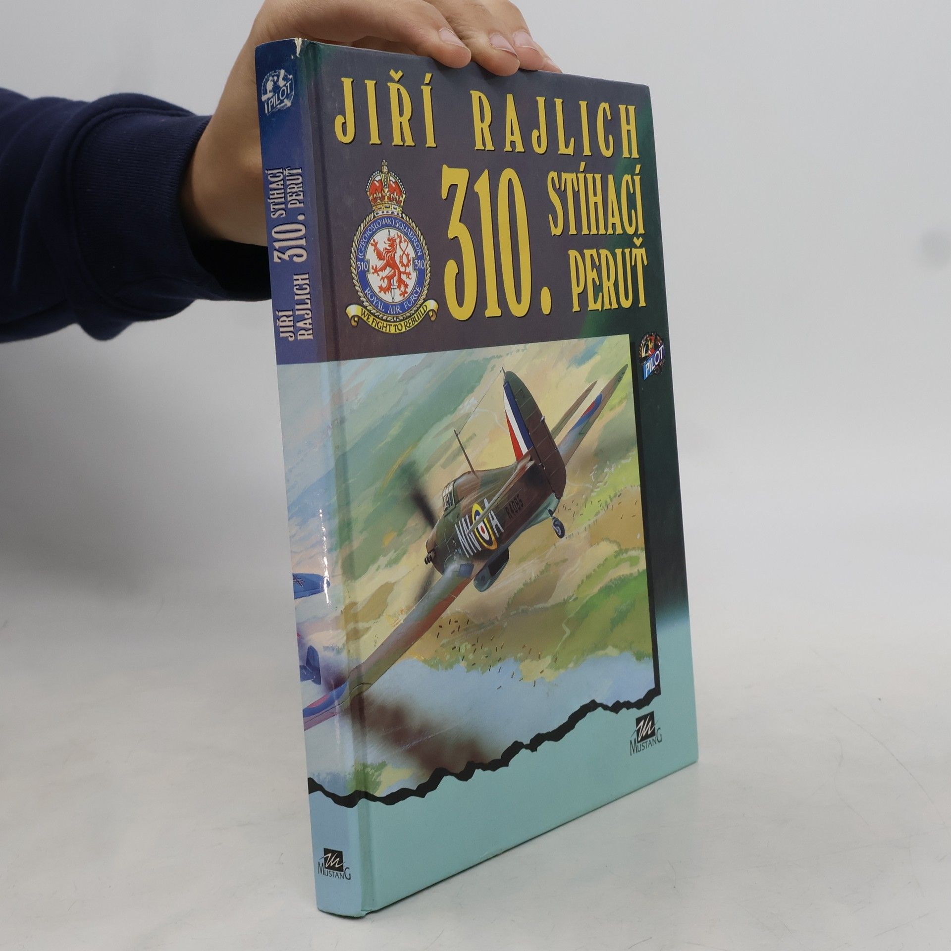 310. stíhací peruť