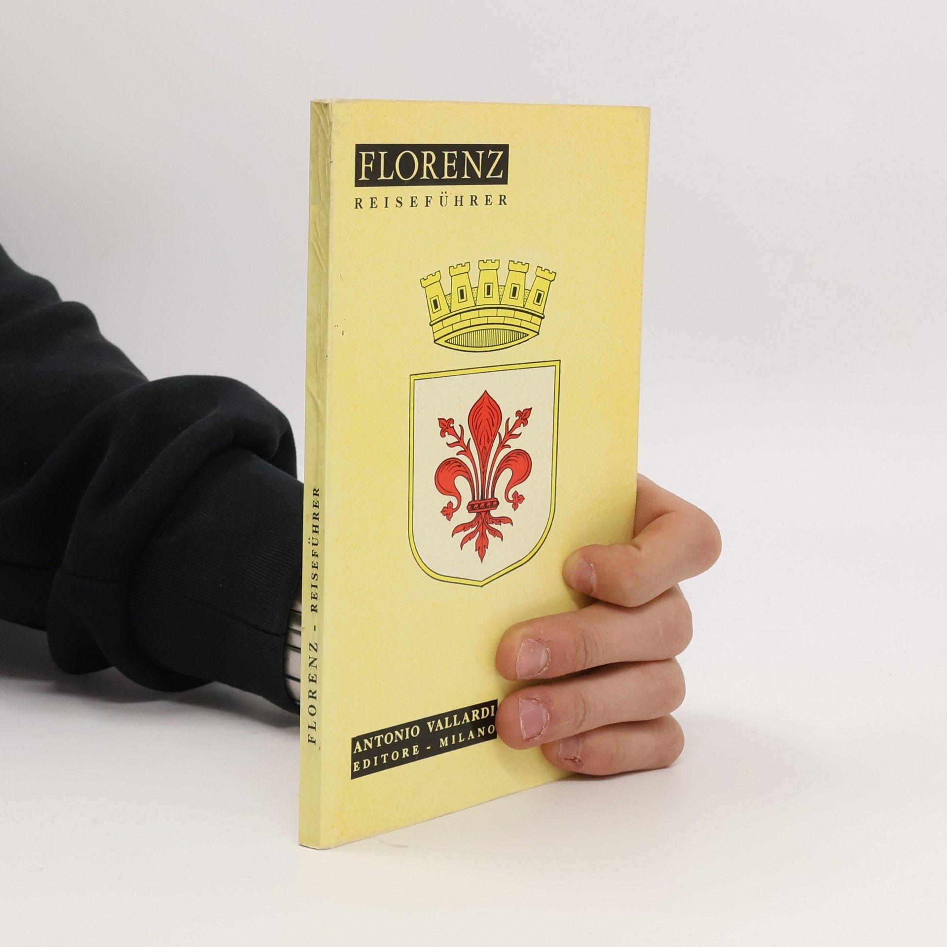 Autores varios Florenz Reiseführer