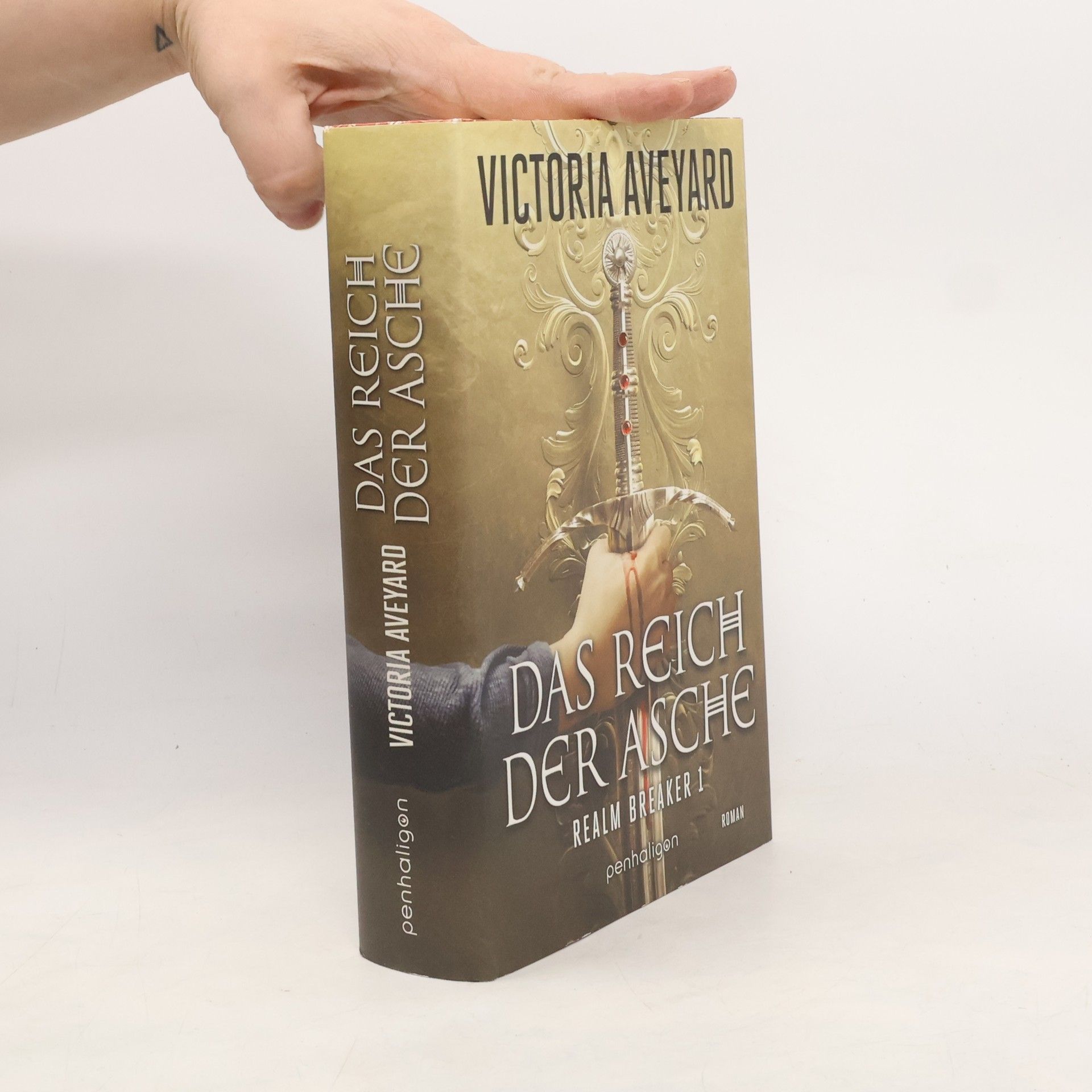 Victoria Aveyard Das Reich der Asche - Realm Breaker 1