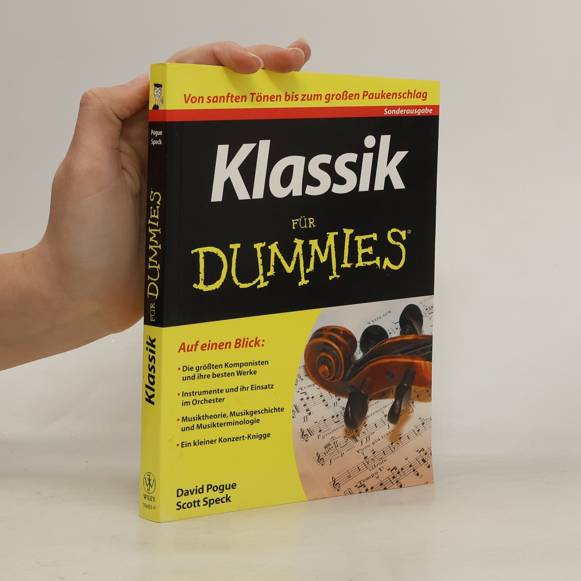 David Pogue Klassik für Dummies