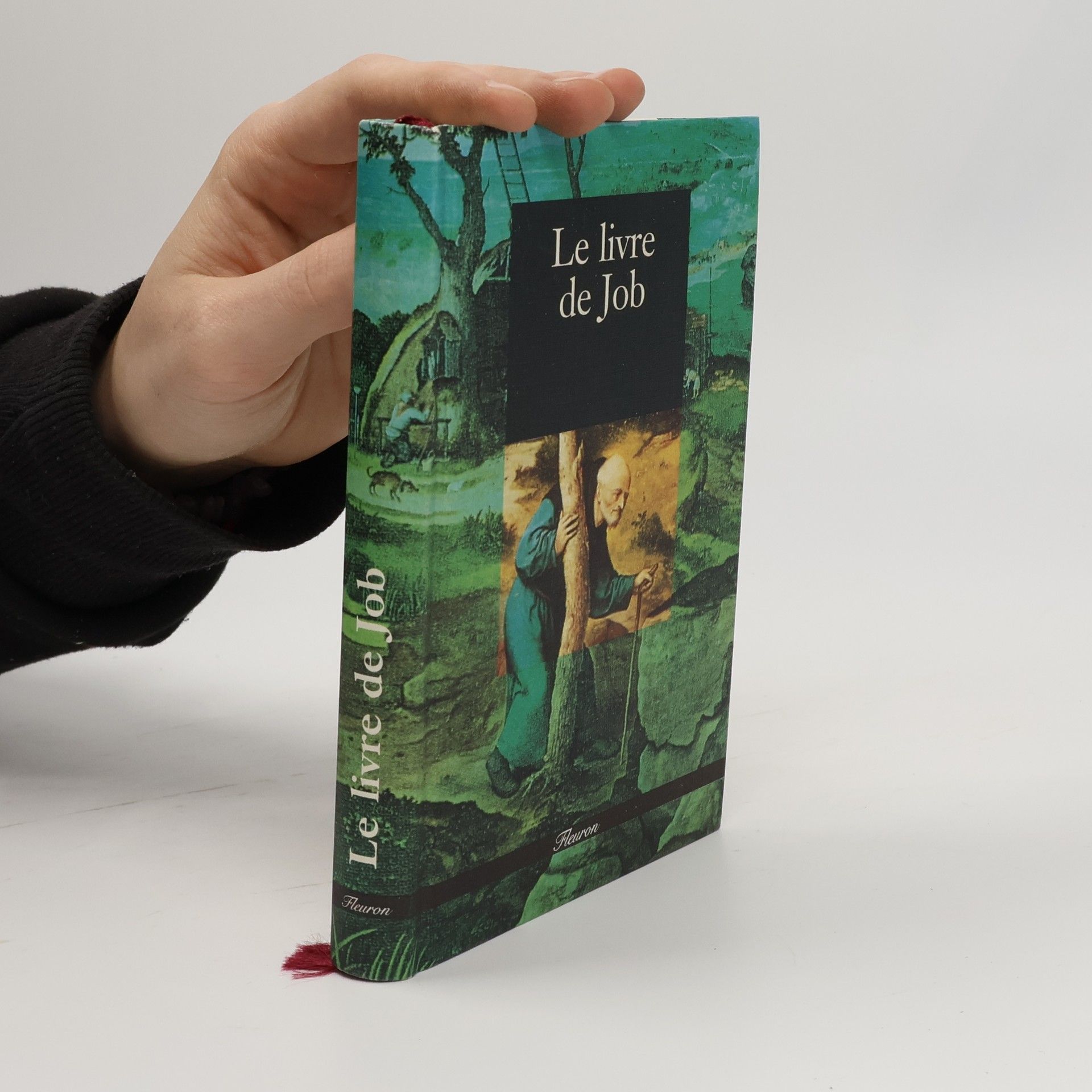 Samuel Kahen Livre de Job