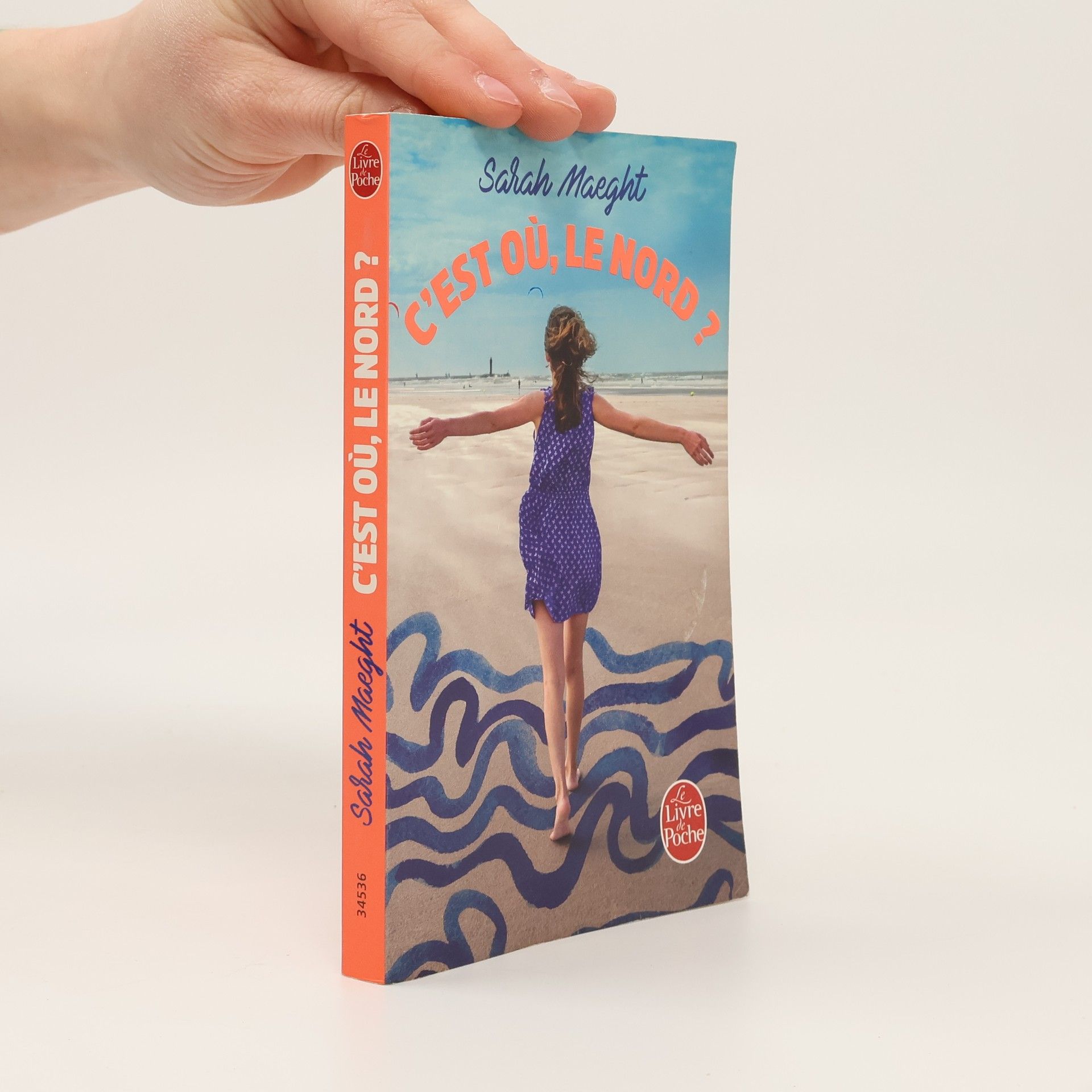 Sarah Maeght C'est où, le nord ?