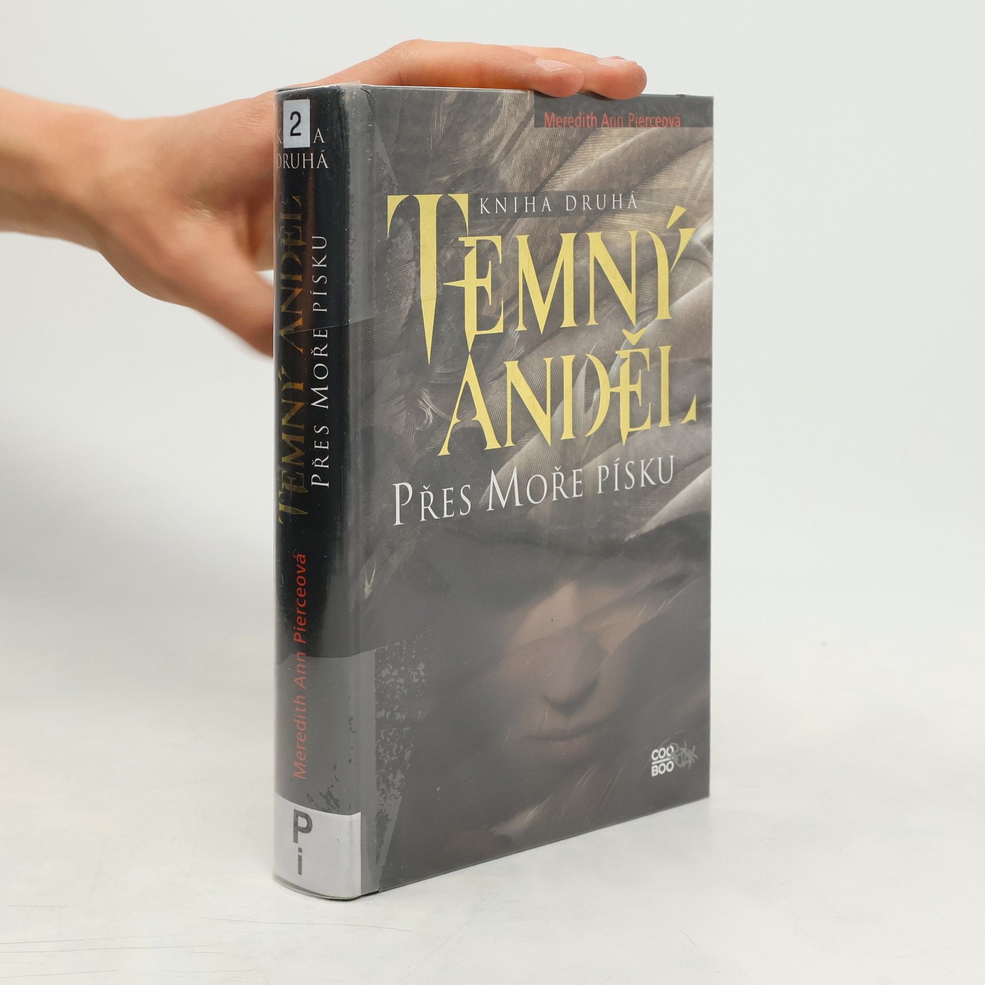 Meredith Ann Pierce Temný anděl. Přes moře písku