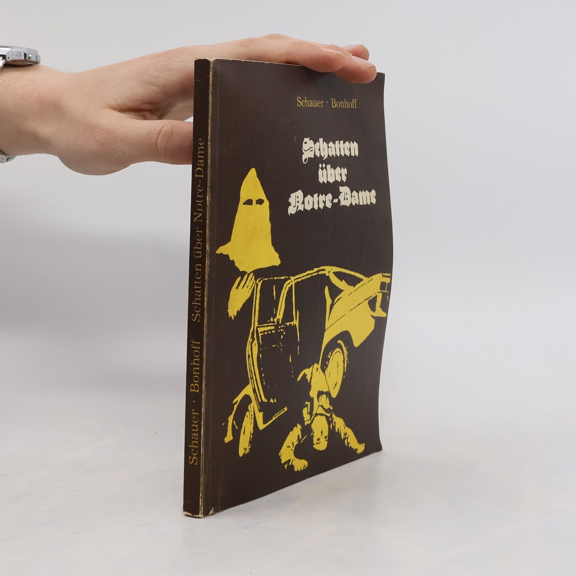 Schatten über Notre-Dame