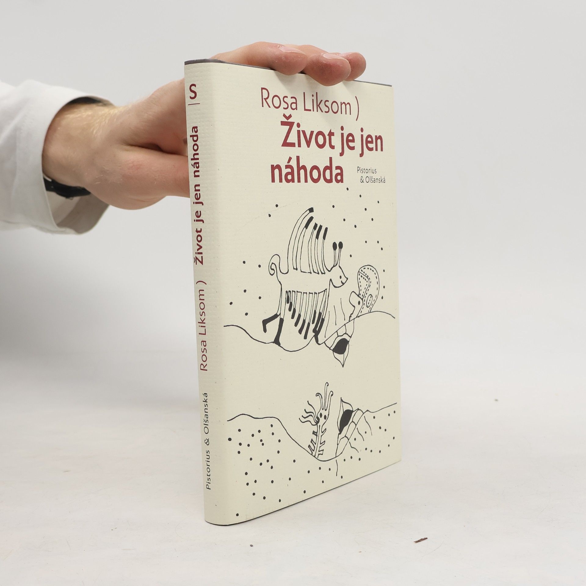 Rosa Liksom Život je jen náhoda