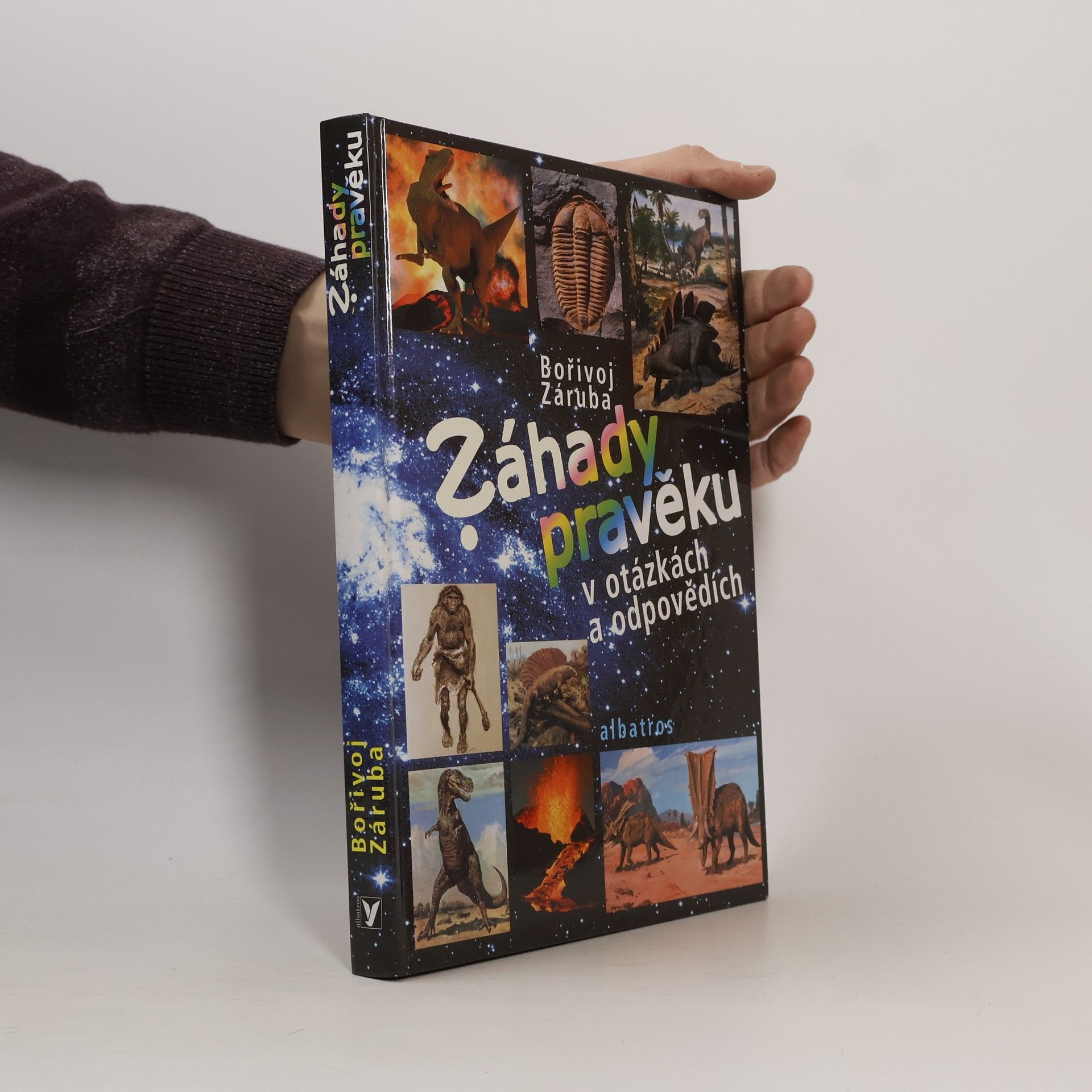 Bořivoj Záruba Záhady pravěku