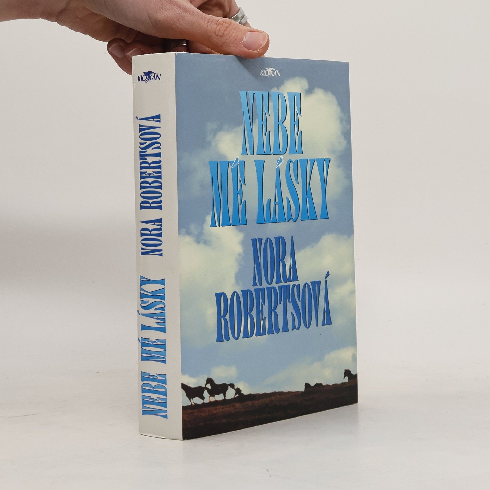 Nora Roberts Nebe mé lásky