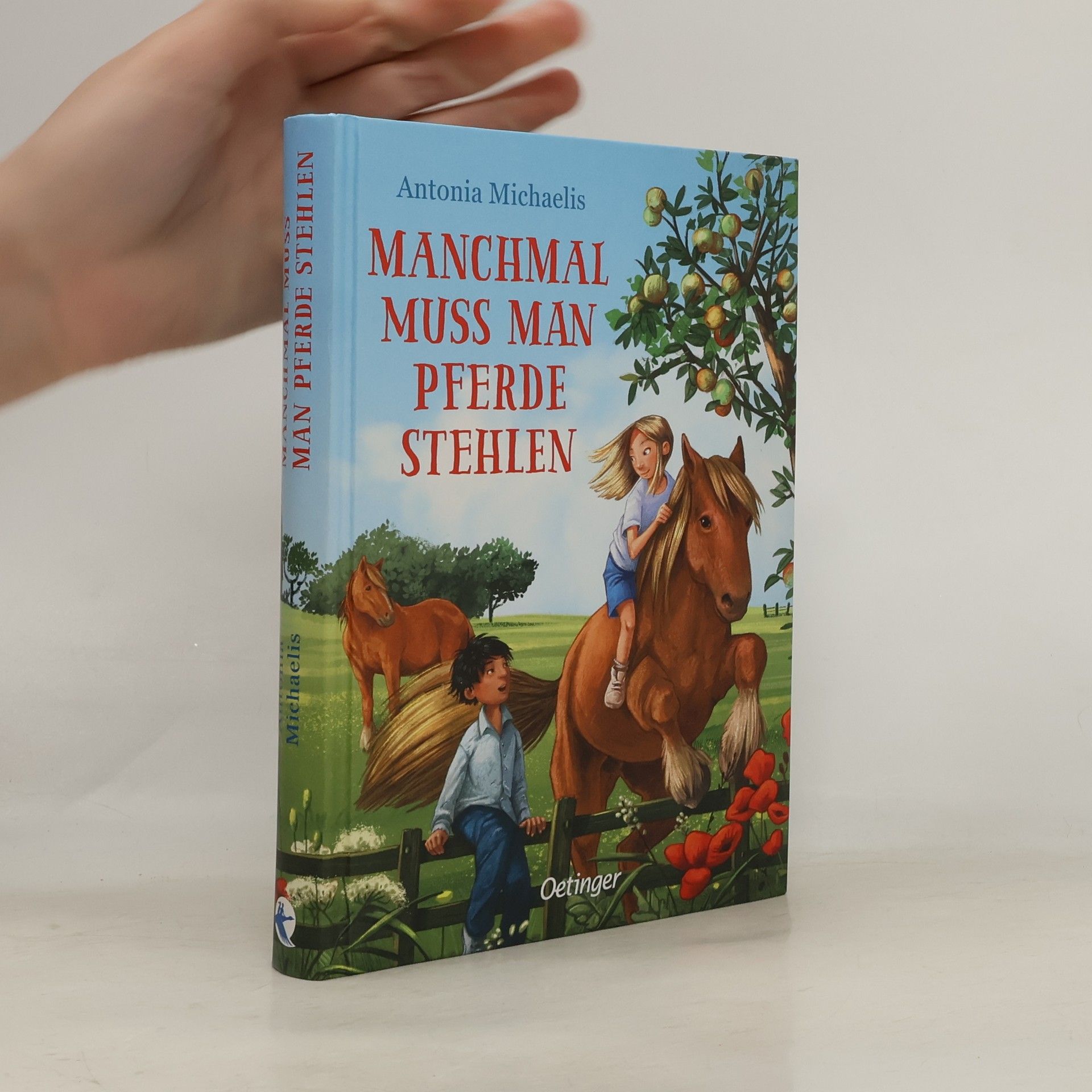 Antonia Michaelis Manchmal muss man Pferde stehlen