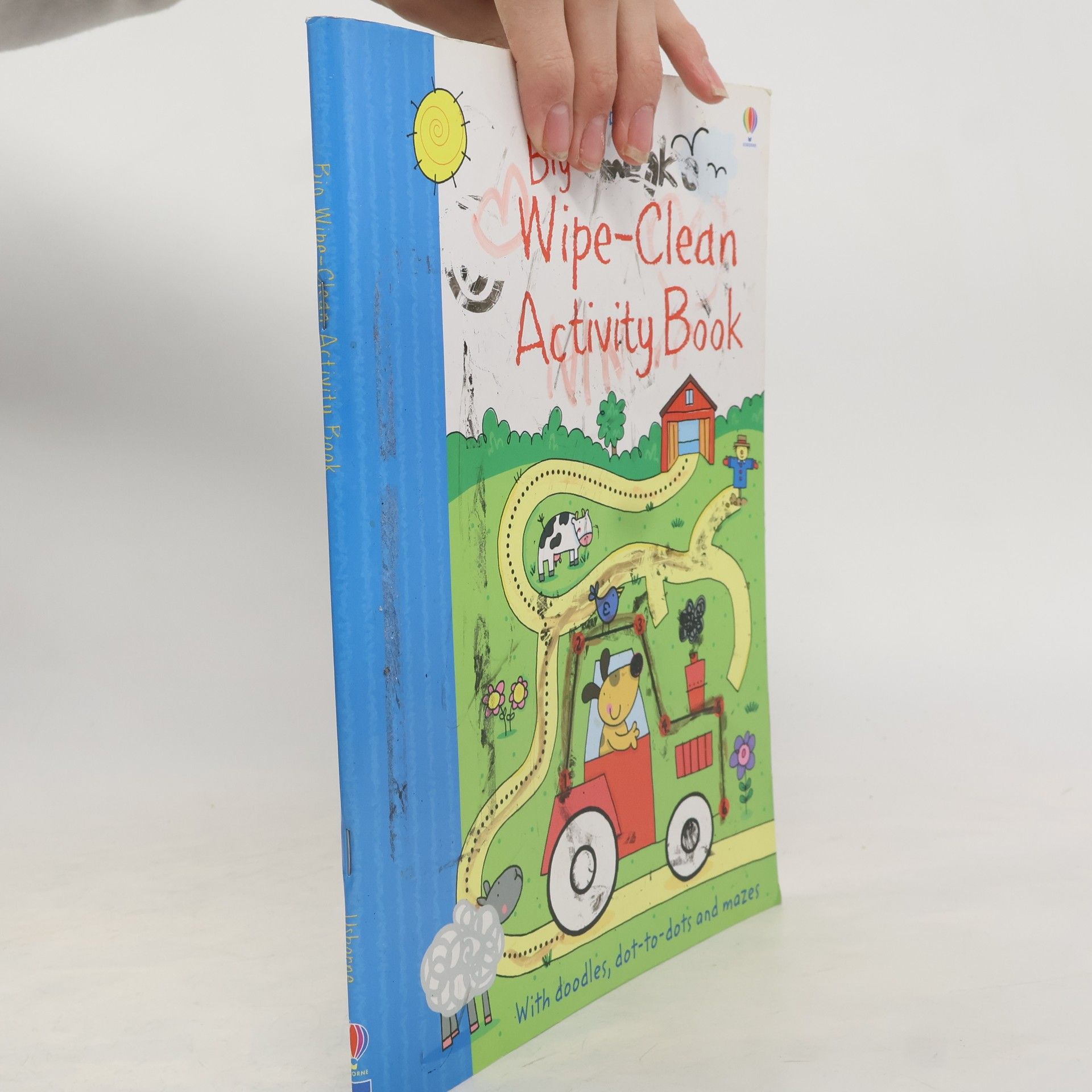 Sam Taplin Big Wipe Clean Activity Book
