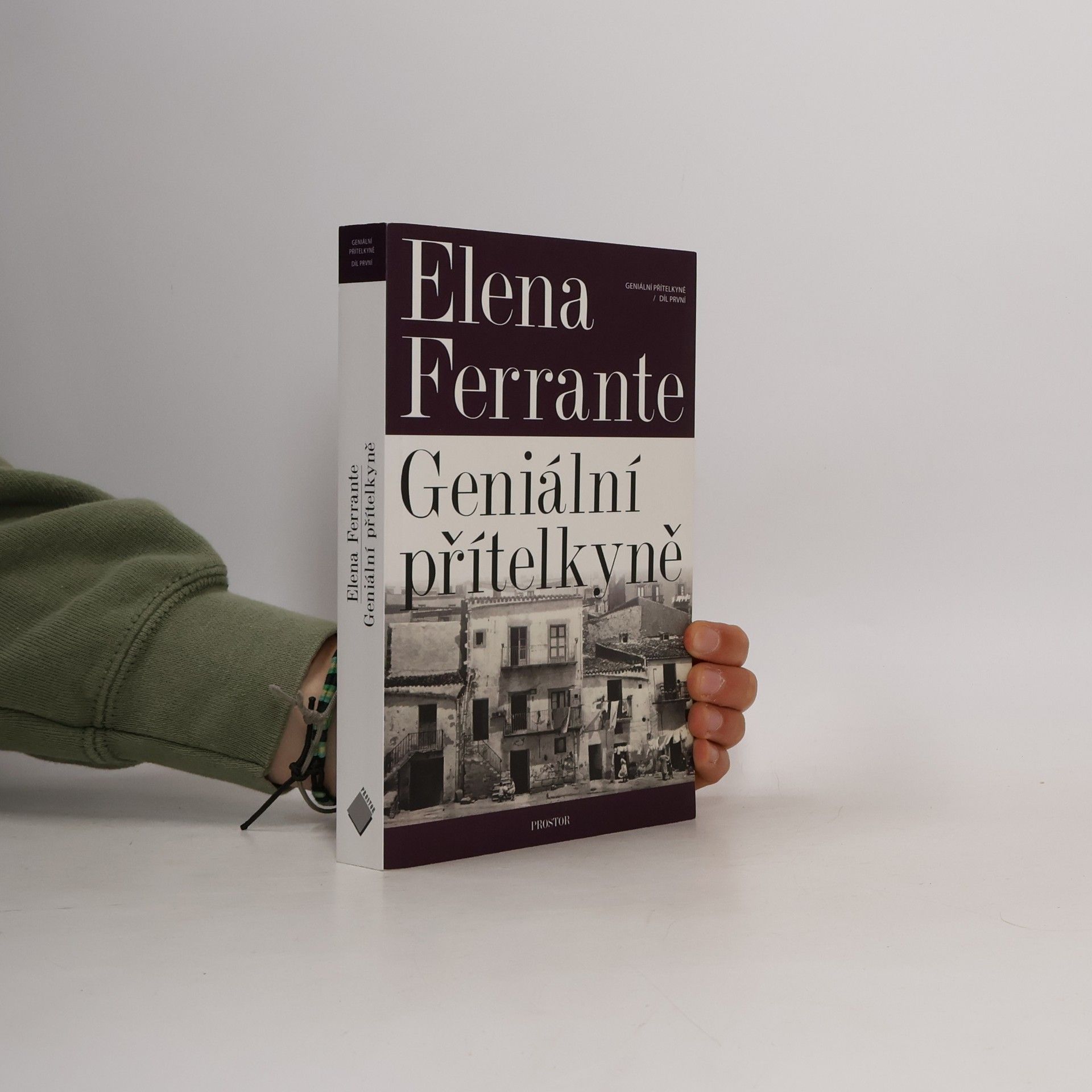 Elena Ferrante Geniální přítelkyně 1. Dětství a dospívání