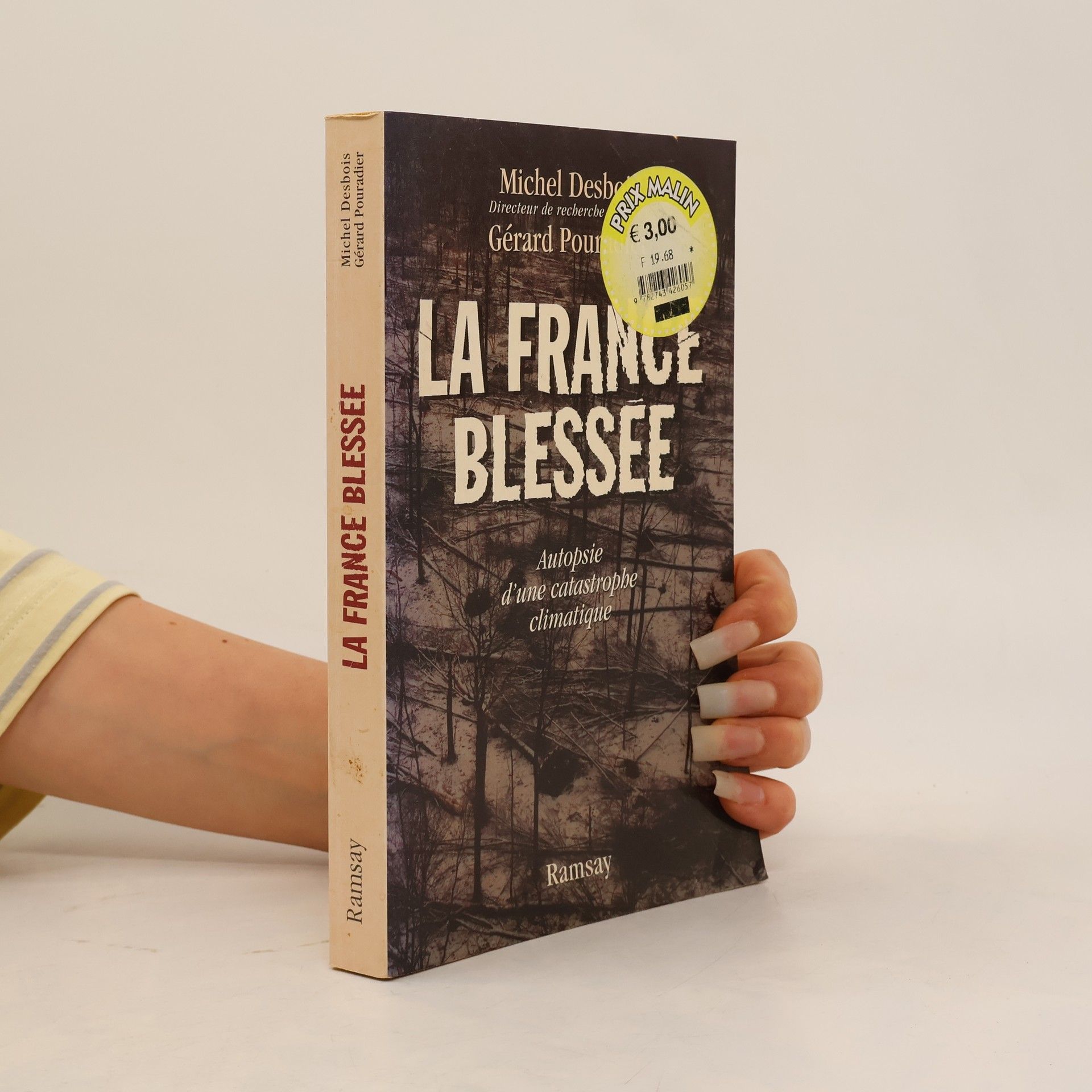 Gérard Pouradier La France blessée