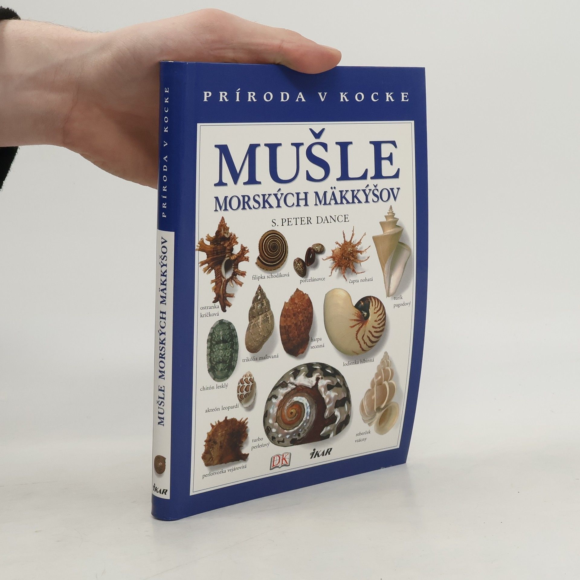 S. Peter Dance Mušle morských mäkkýšov