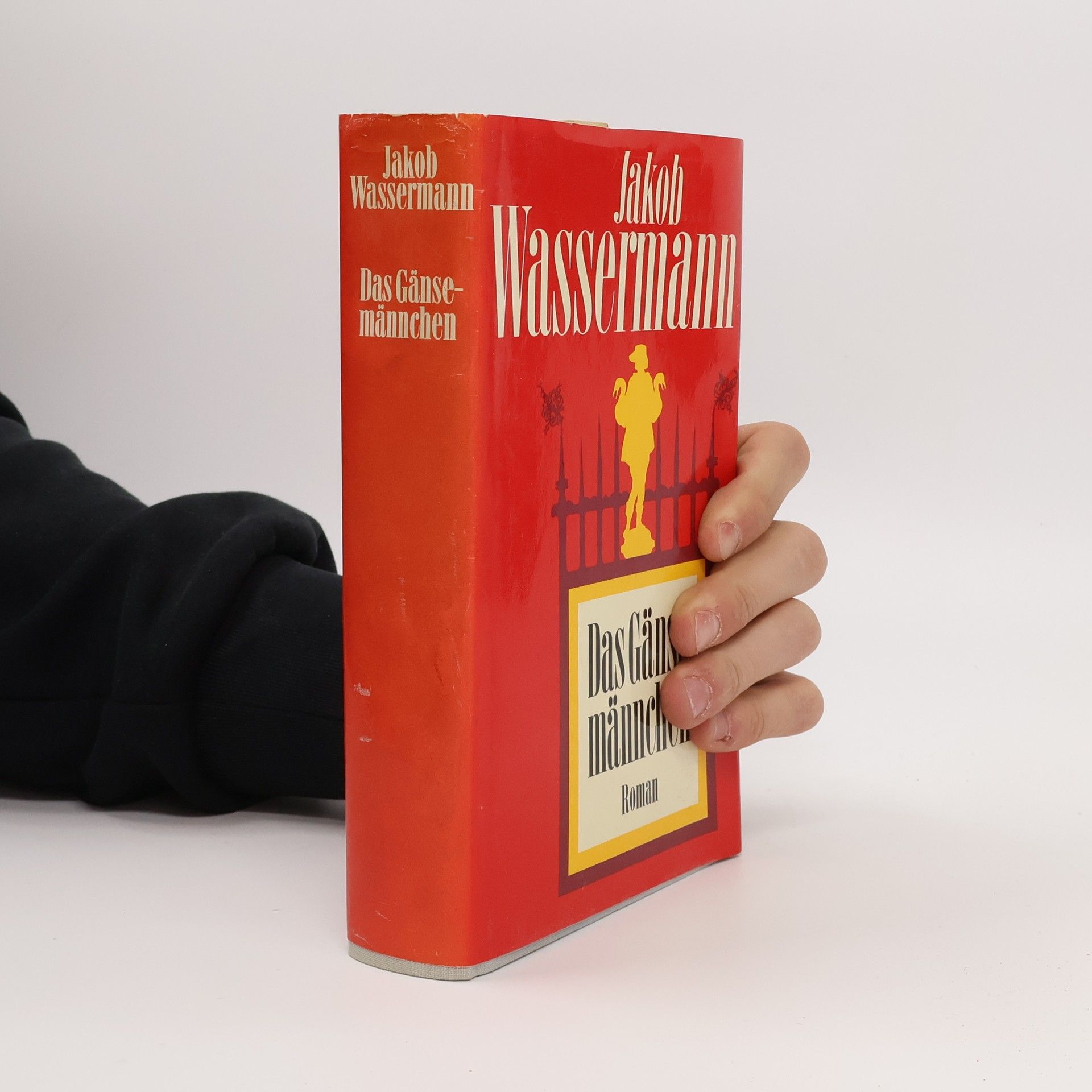 Jakob Wassermann Das Gänsemännchen