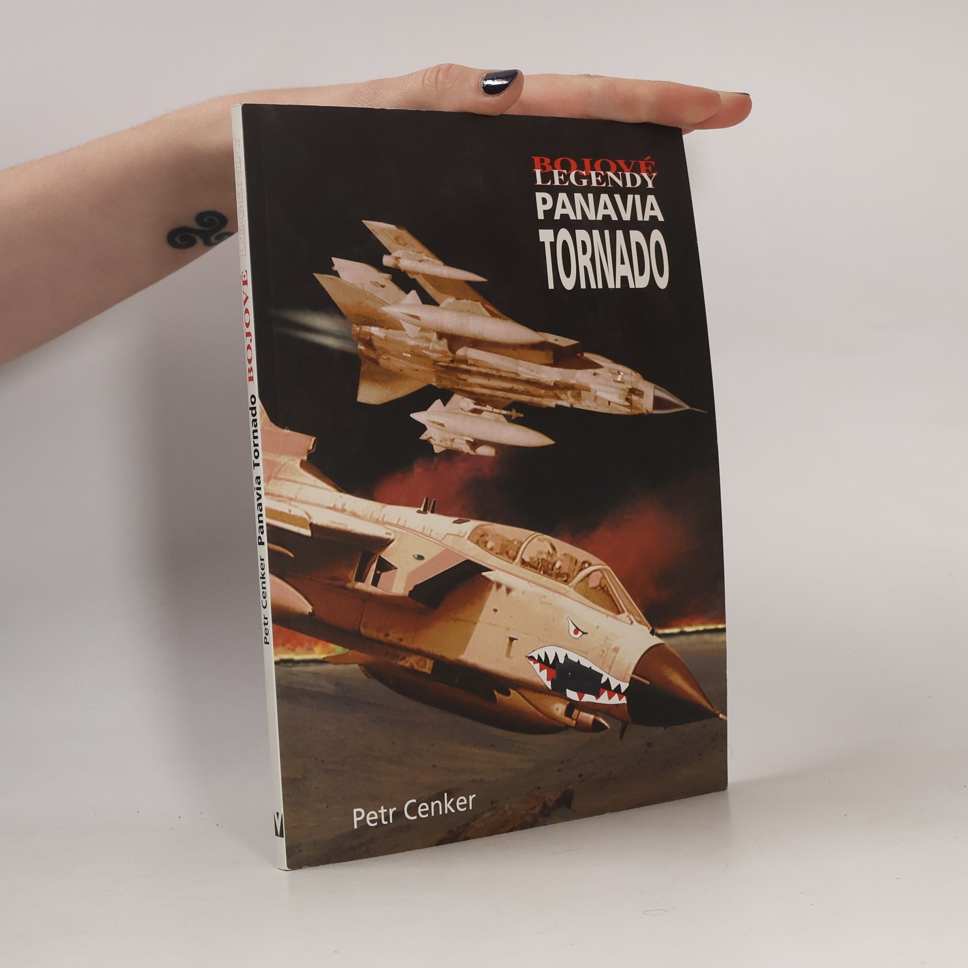 Petr Cenker Panavia Tornado