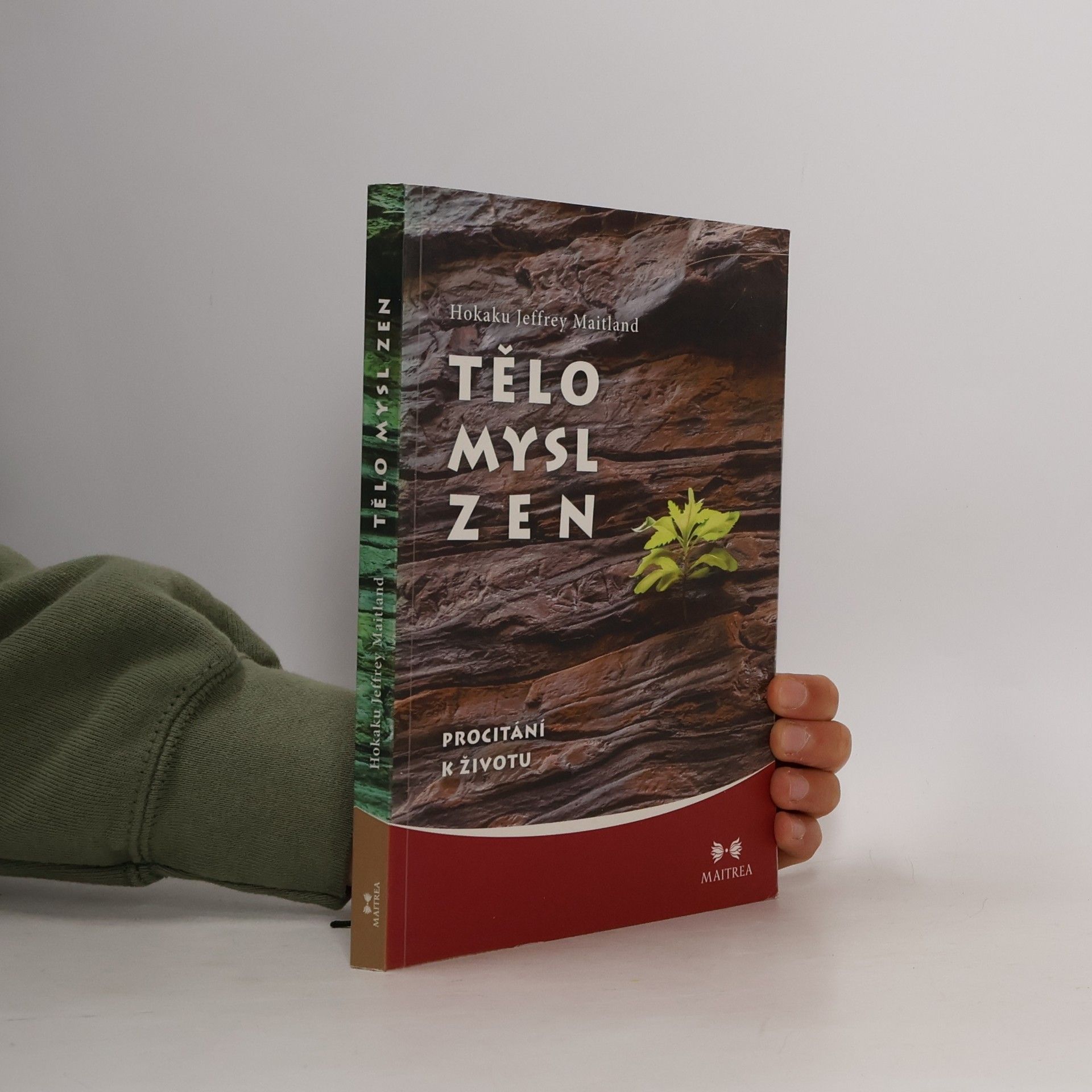 Jeffrey Maitland Tělo, Mysl, Zen - Procitání k životu