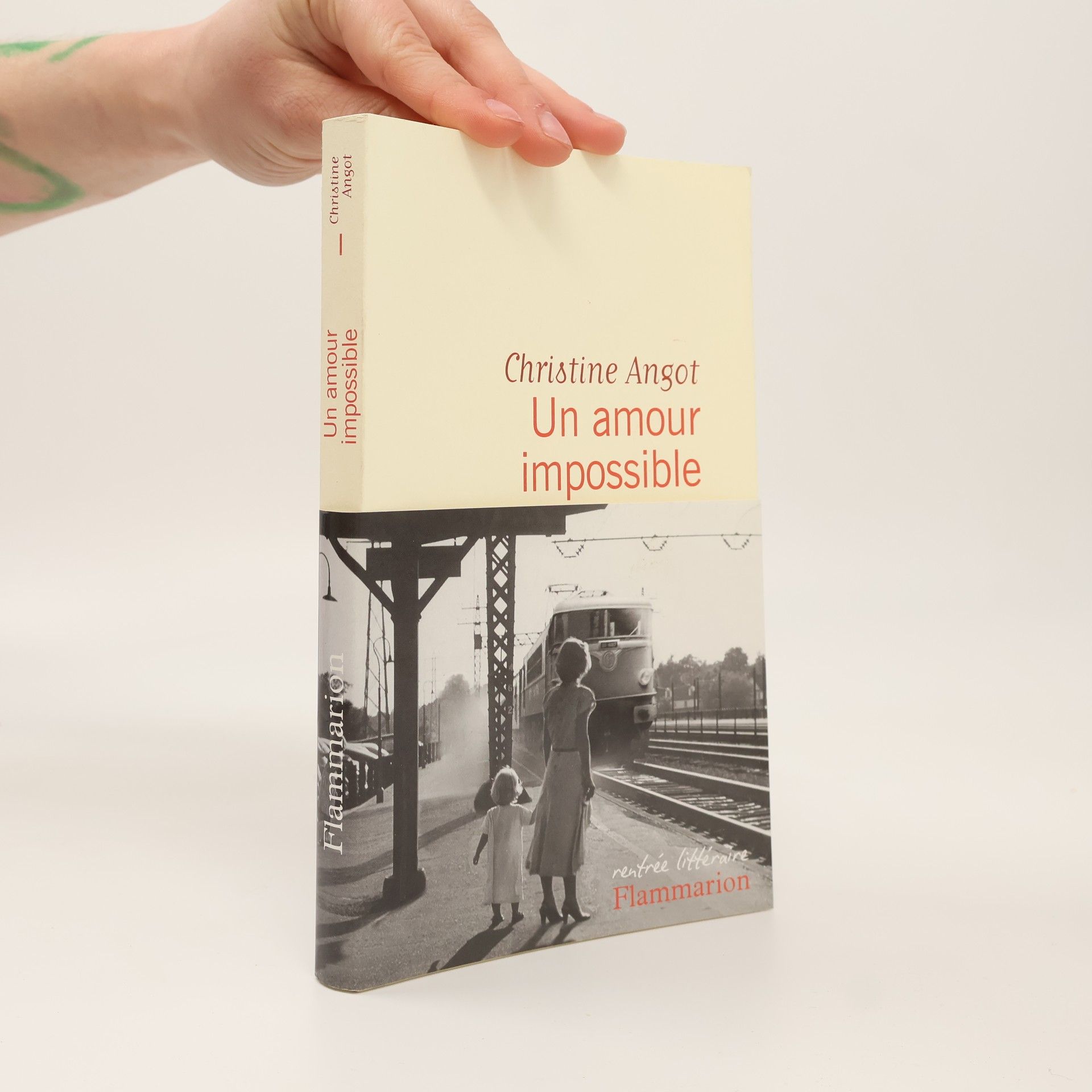 Christine Angot Un amour impossible