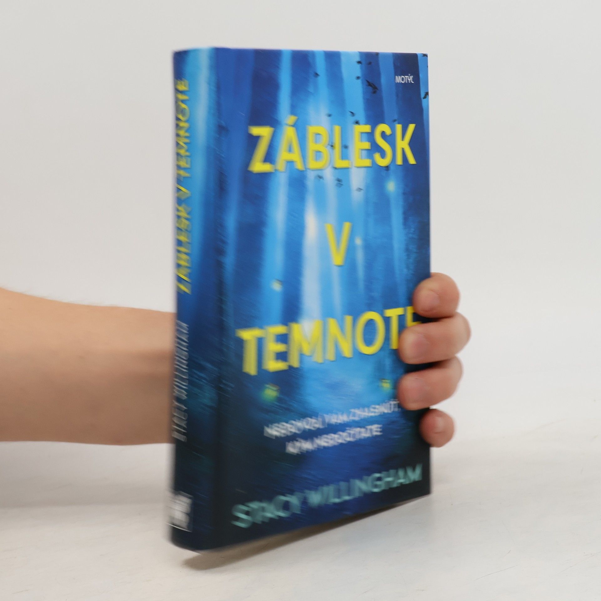 Stacy Willingham Záblesk v temnote