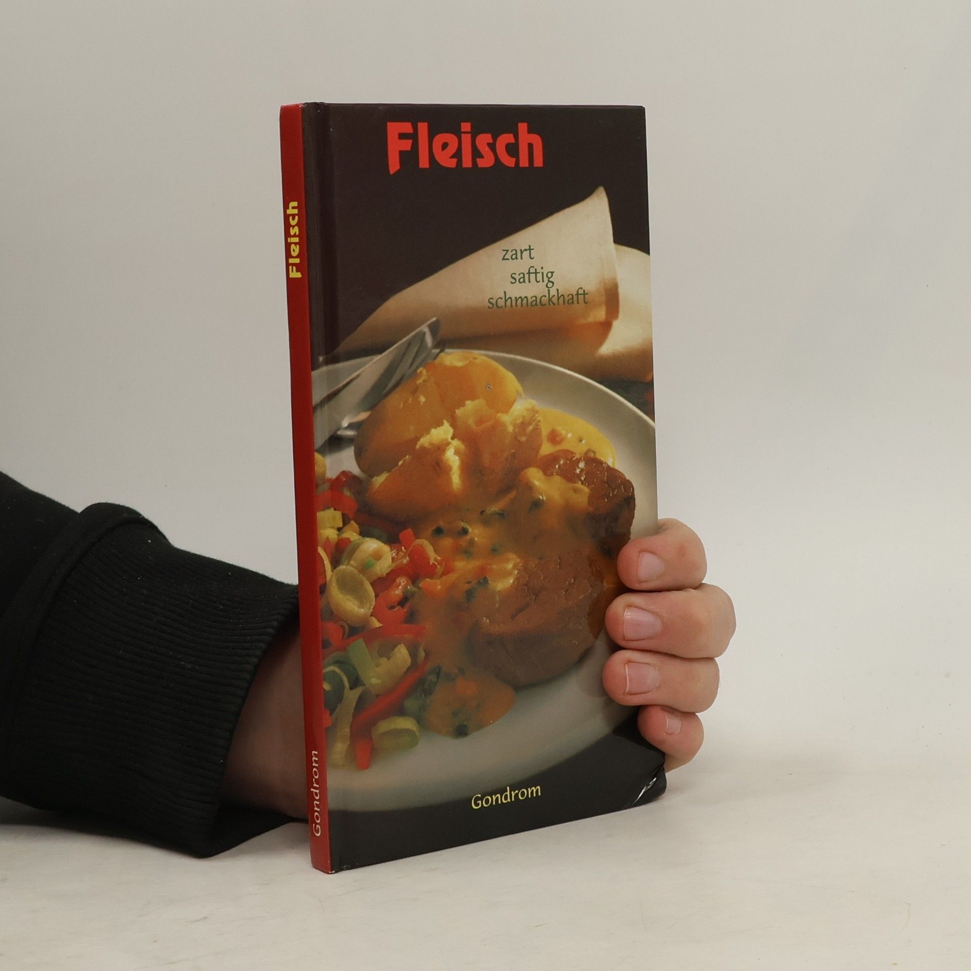 Kolektiv autorů Fleisch