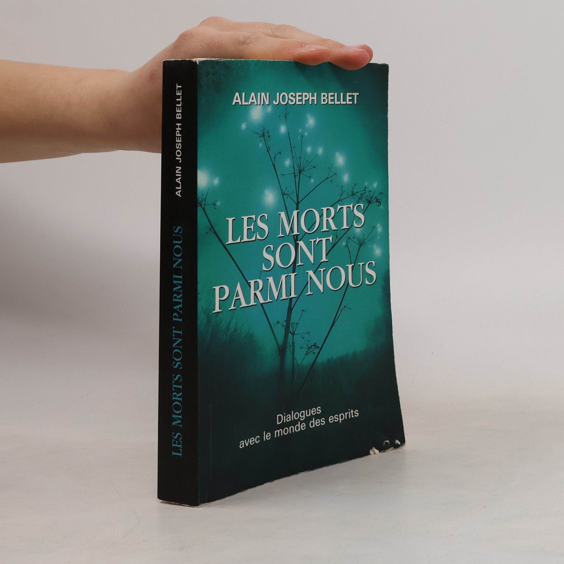 Alain Joseph Bellet Les morts sont parmi nous