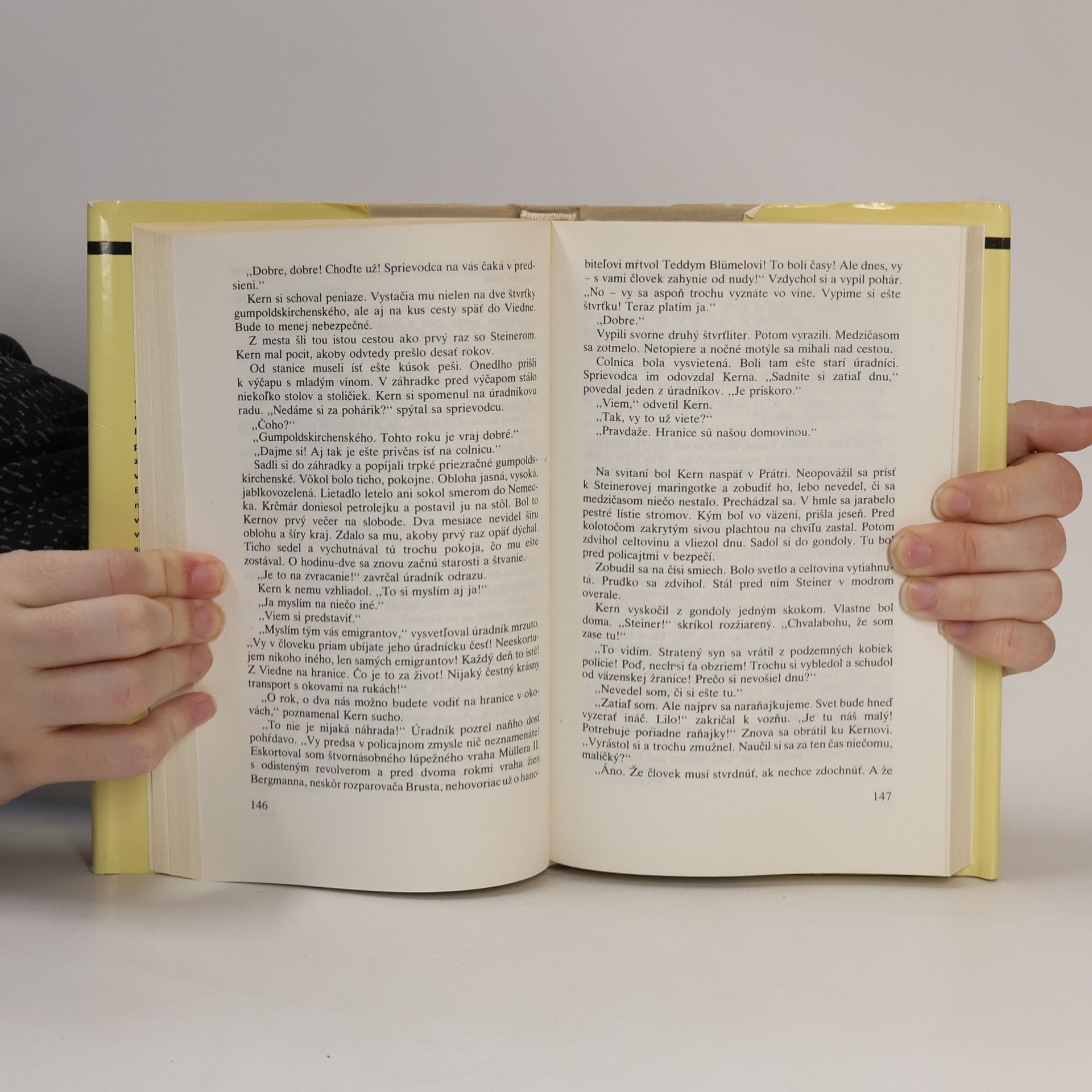 Erich Maria Remarque Miluj blížneho svojho