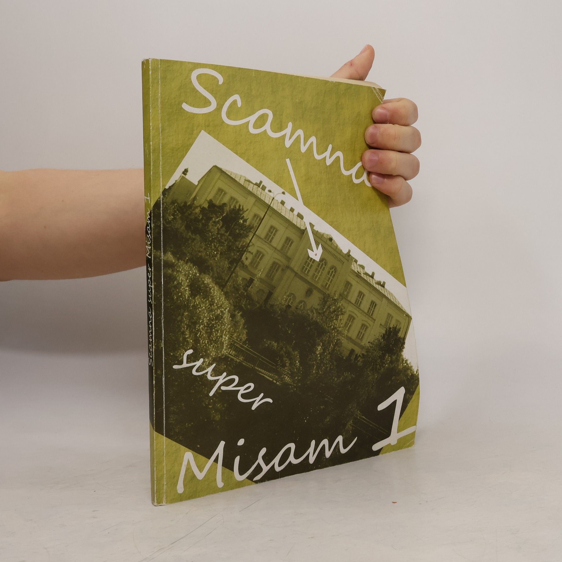 Scamna super Misam