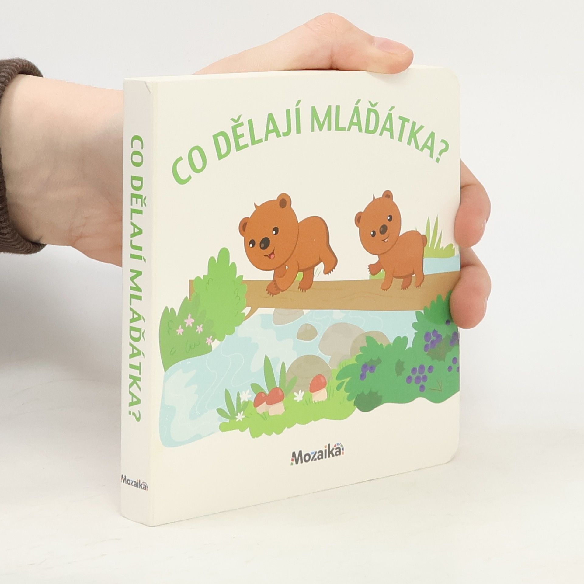 Autorenkollektiv Co dělají mláďátka?