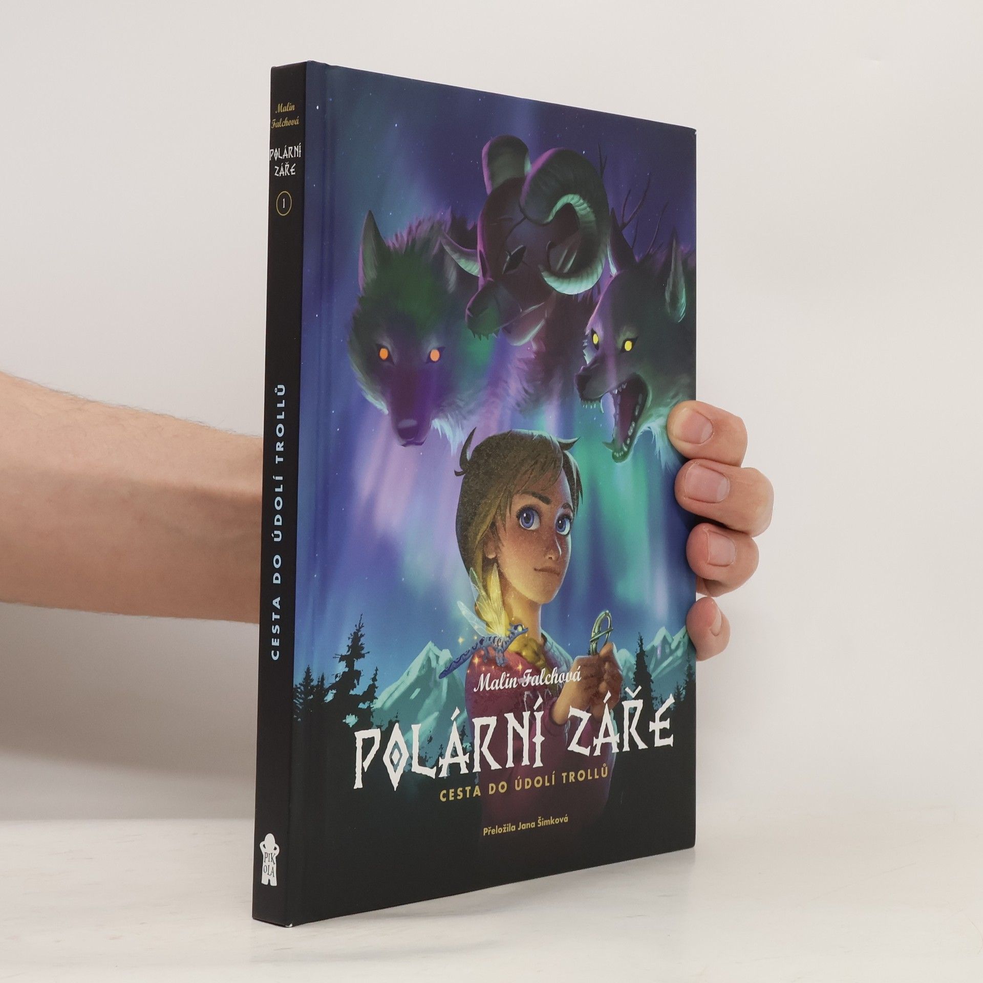 Malin Falch Polární záře. Cesta do Údolí trollů