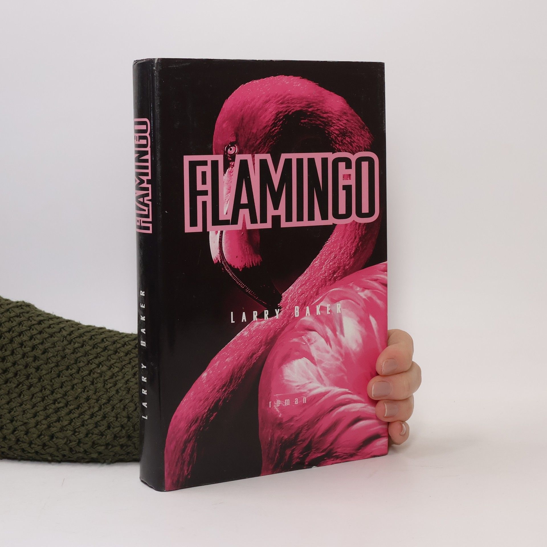 Larry Baker Flamingo