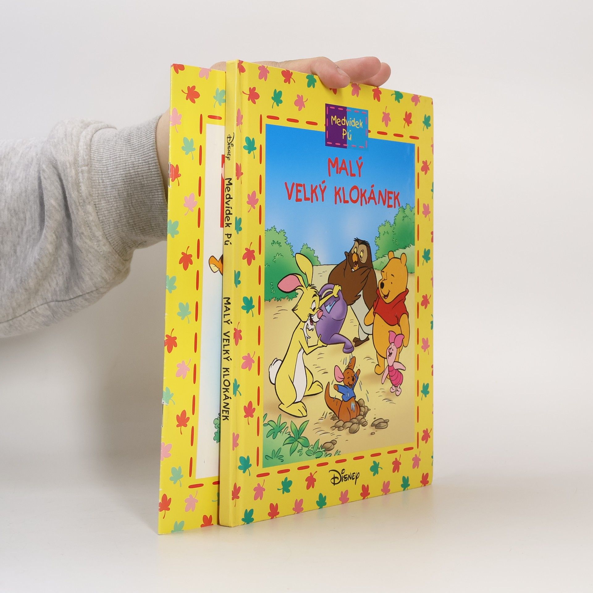 Walt Disney Medvídek Pú - Malý velký klokánek