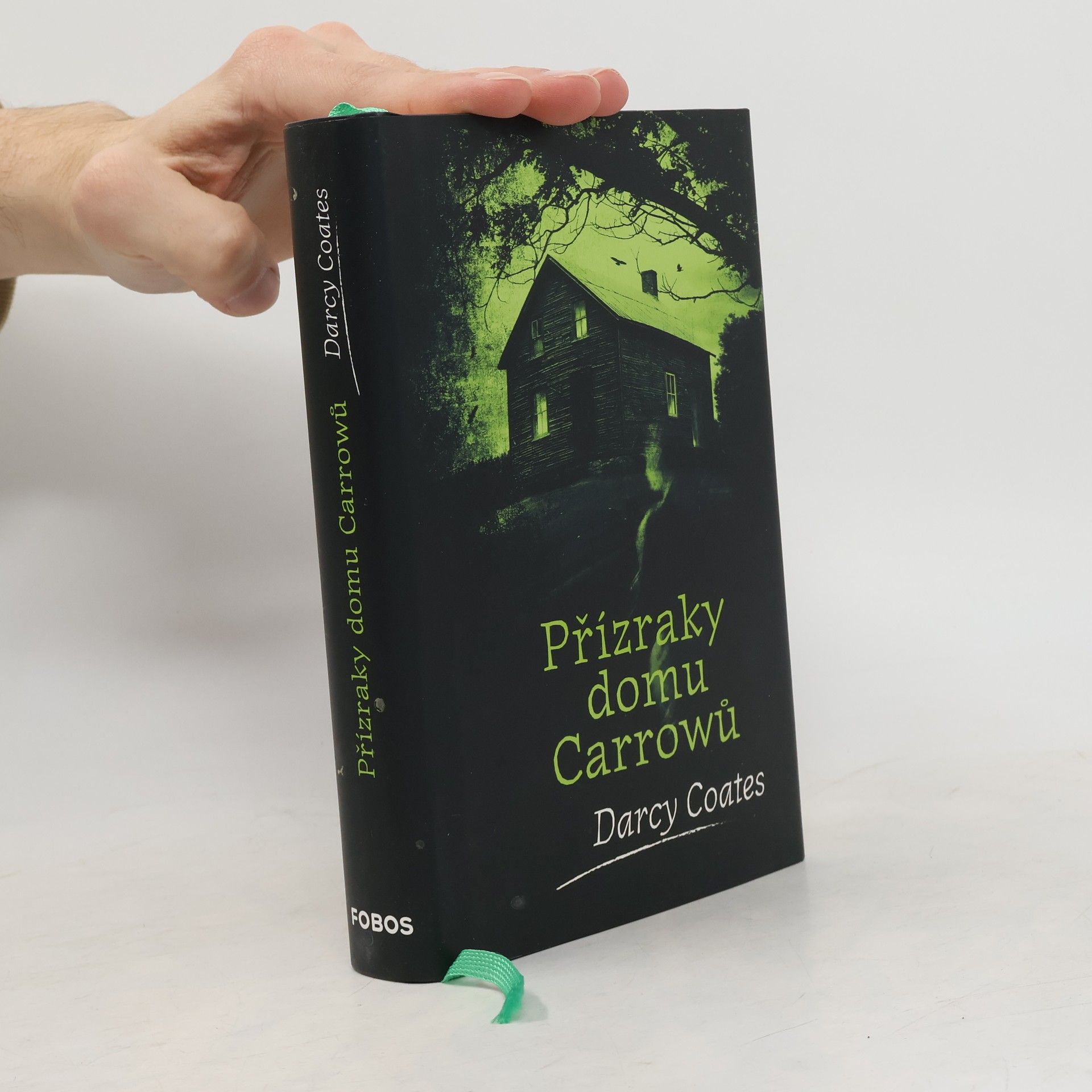Darcy Coates Přízraky domu Carrowů