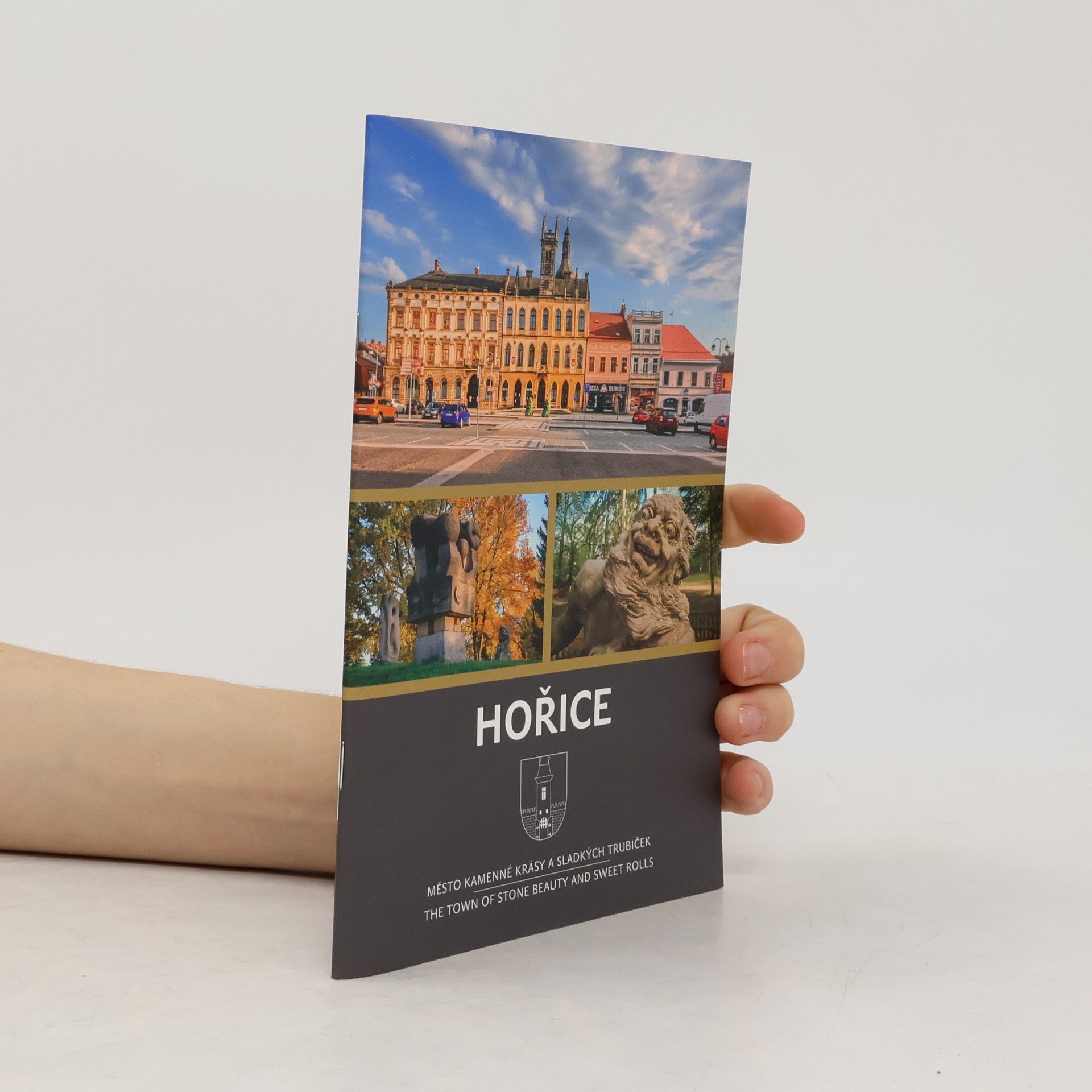 Collectif d'auteurs Hořice