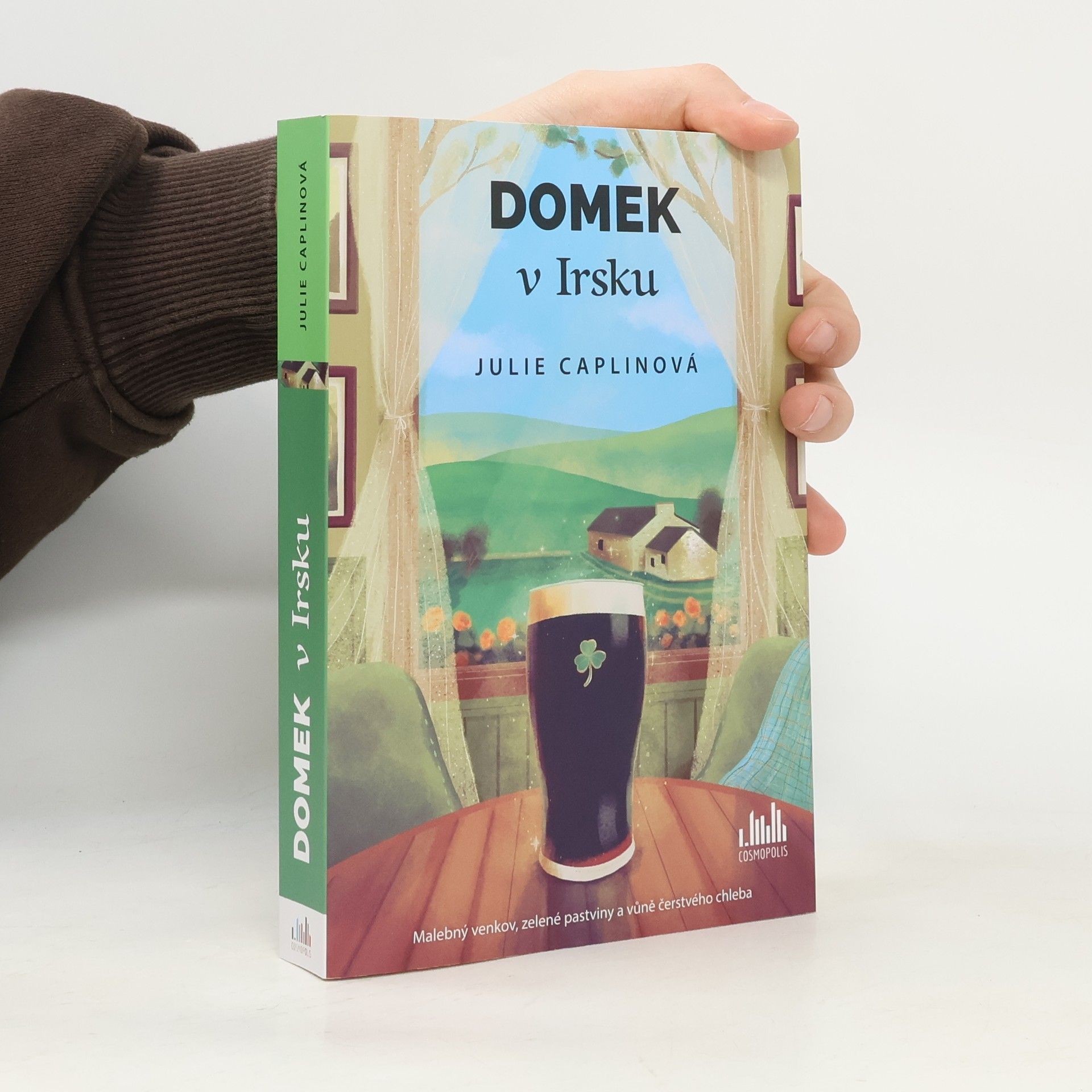 Julie Caplin Domek v Irsku