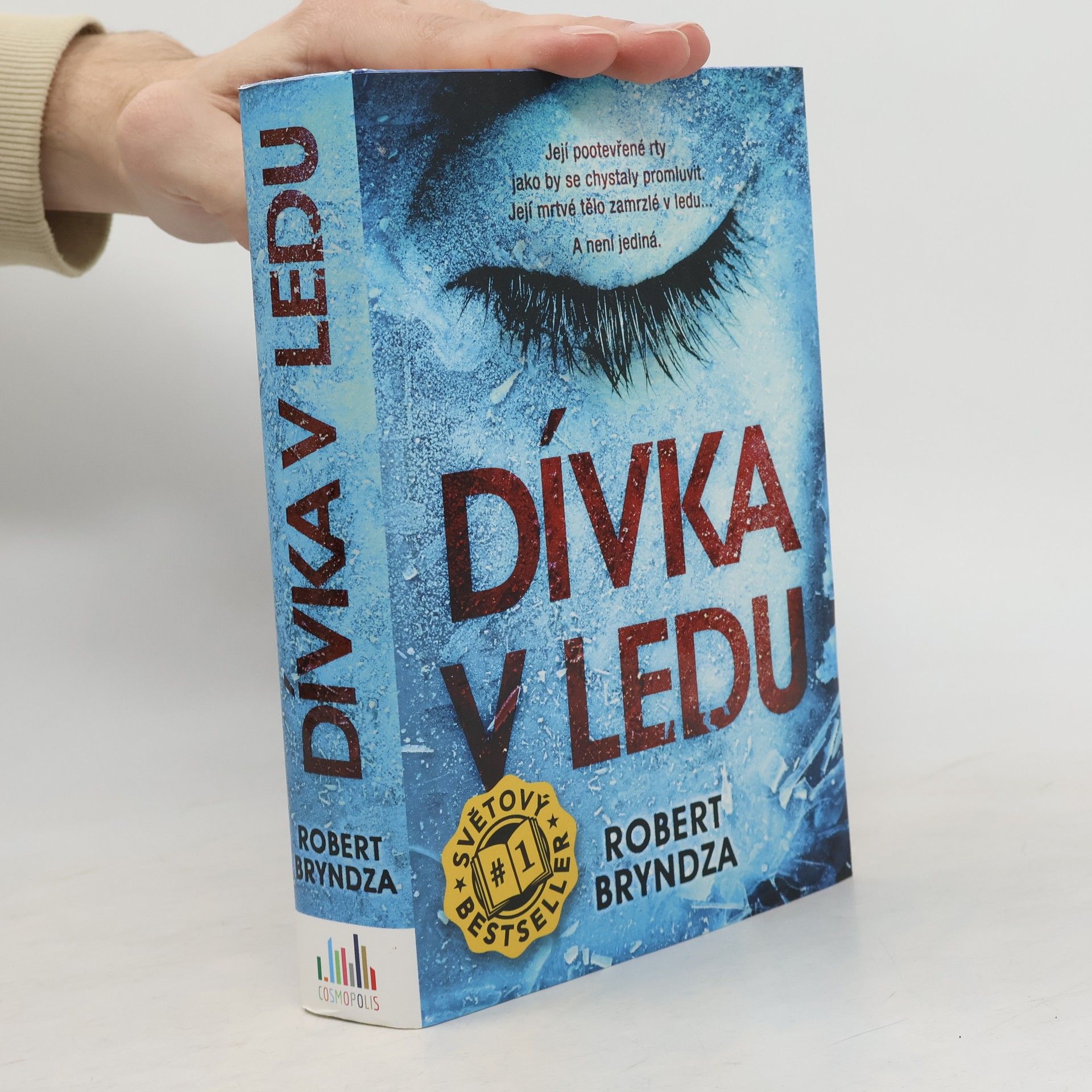 Robert Bryndza Dívka v ledu