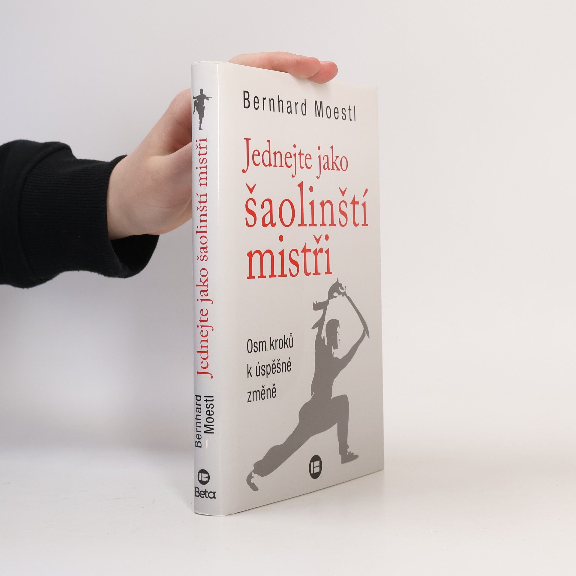 Bernhard Moestl Jednejte jako šaolinští mistři